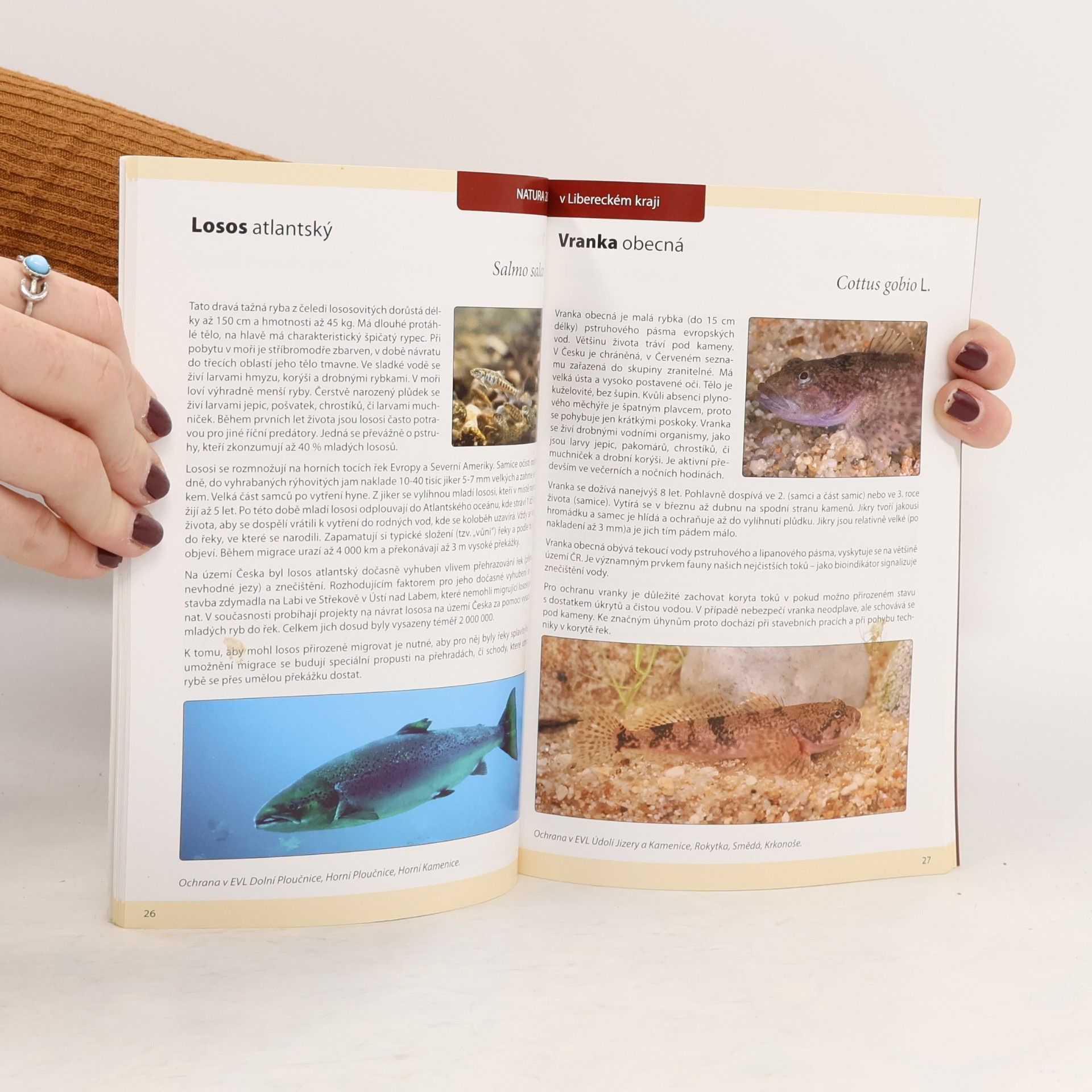 Luboš Beran Natura 2000 v Libereckém kraji