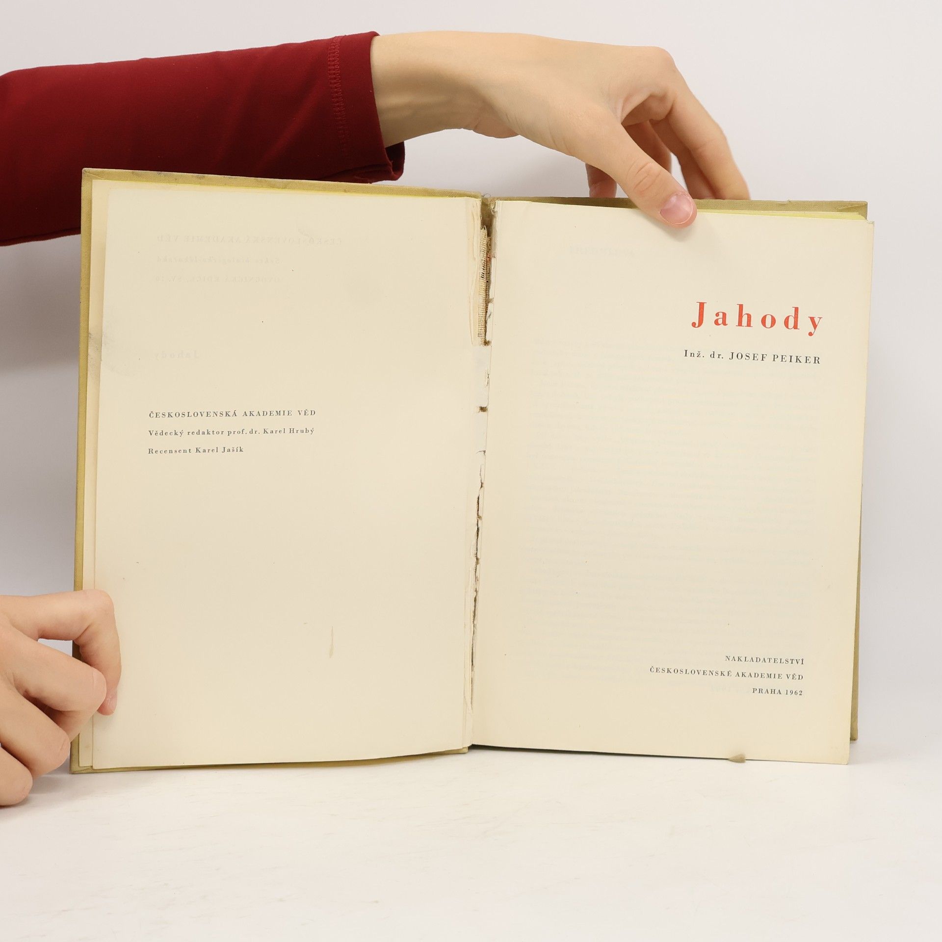 Josef Peiker Jahody