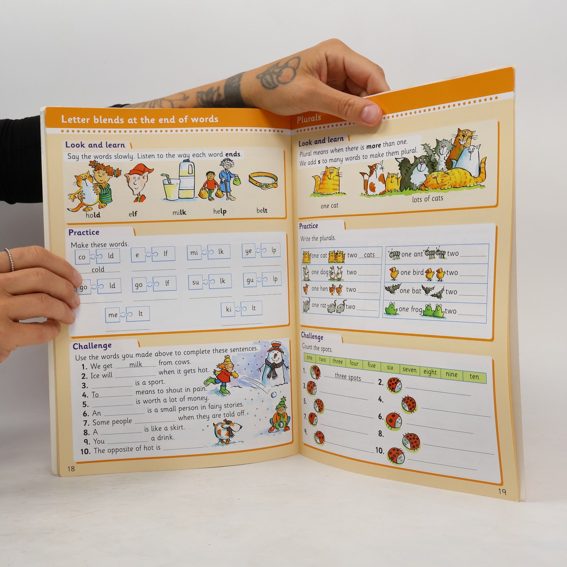 Bonnier Books Ltd English Basics 5-6