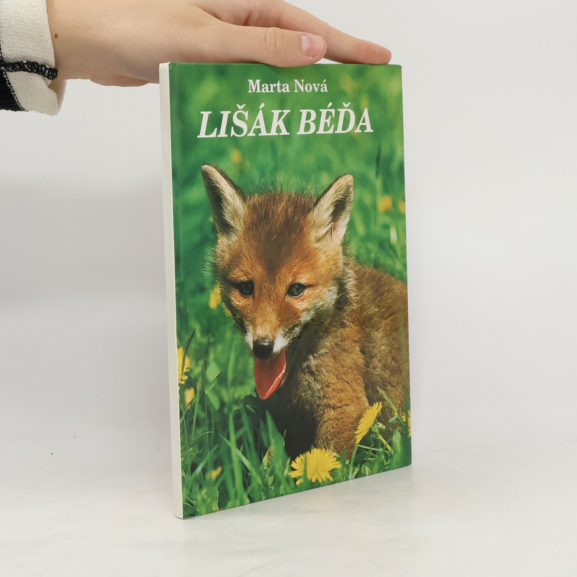 Lišák Béďa