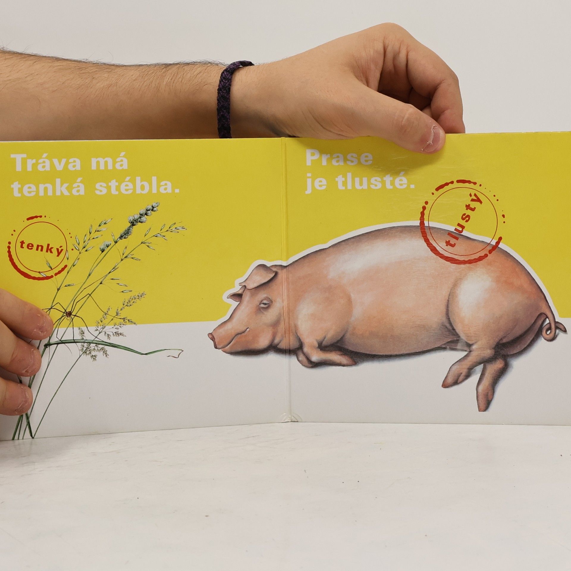 Petr Liška Hledej protiklady