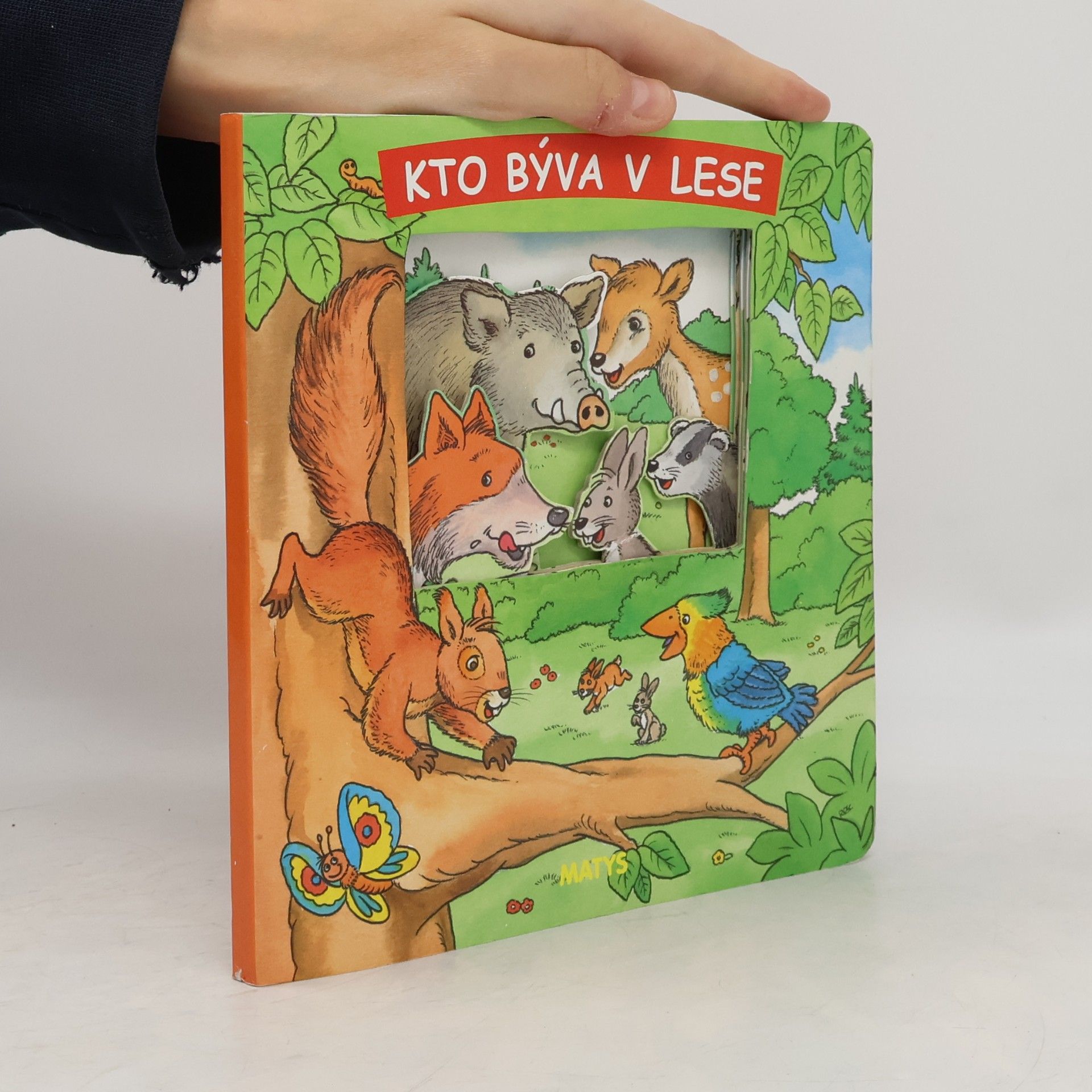 Autorenkollektiv Kto býva v lese