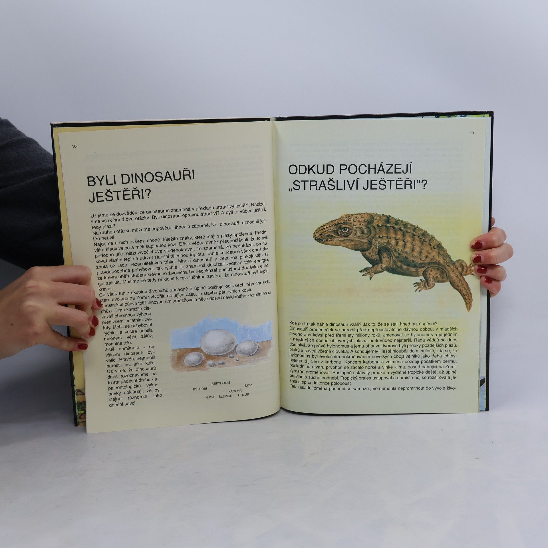 Zdeněk Volný Ztracený svět dinosaurů