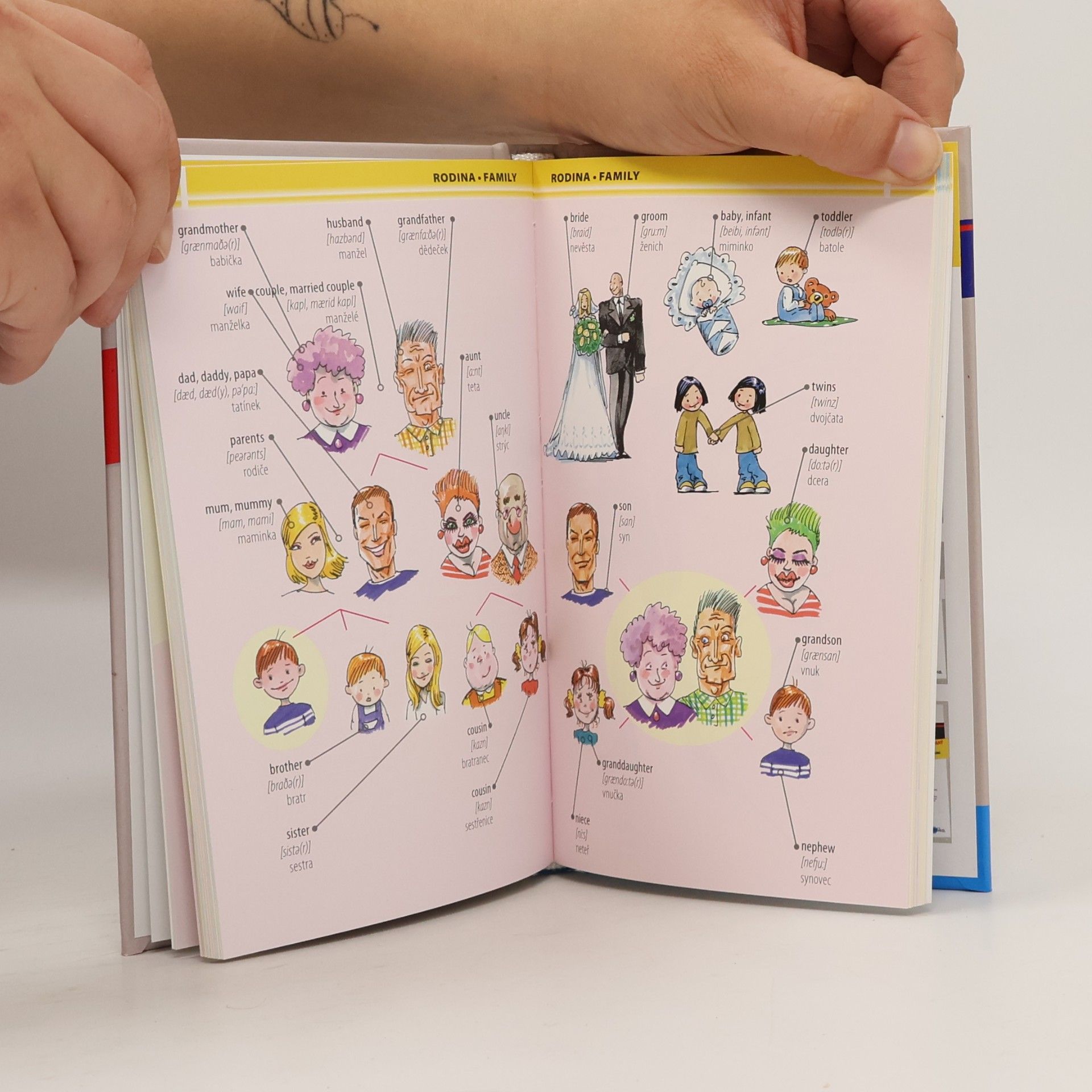 Autorenkollektiv 1000 anglických slovíček : ilustrovaný slovník