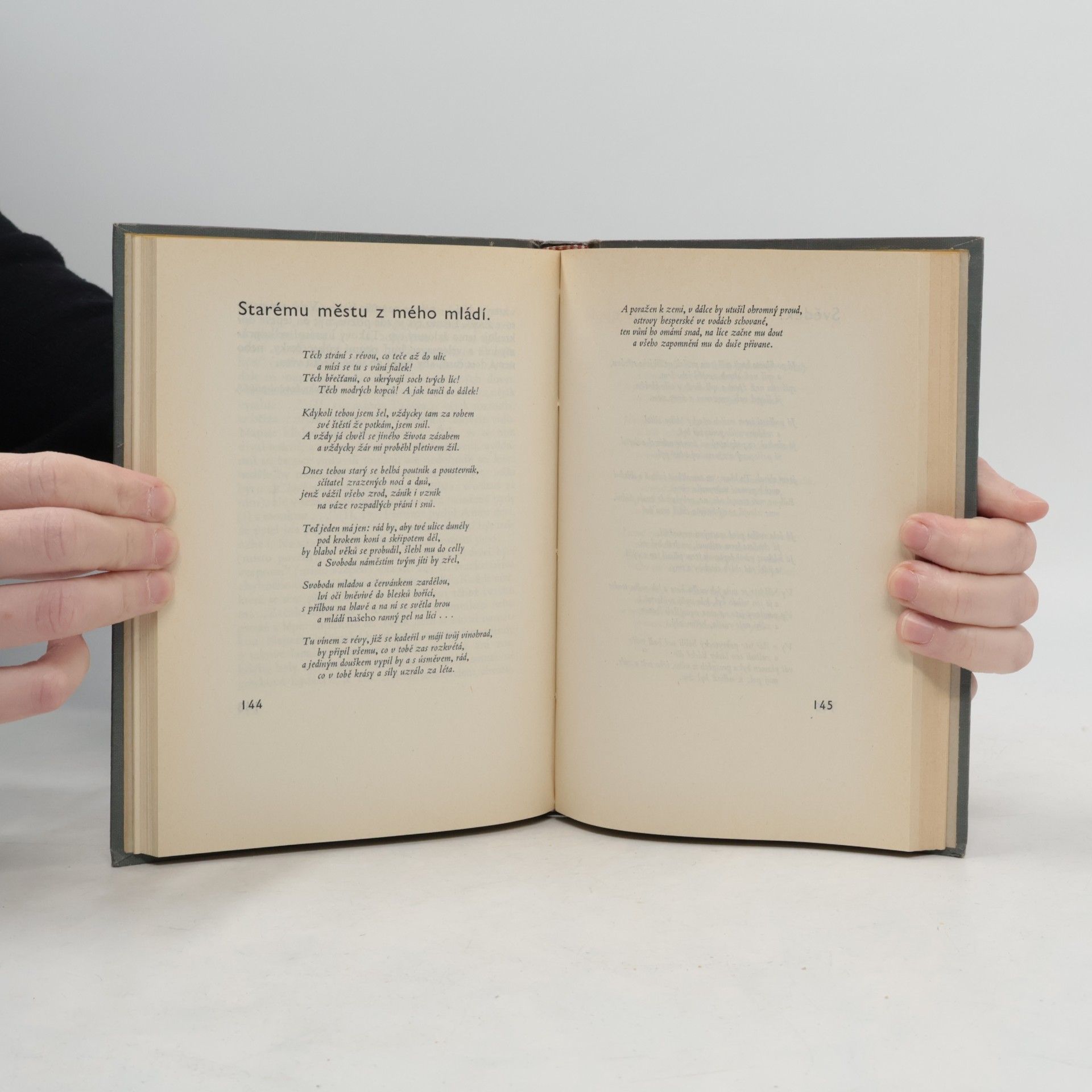 Kolektiv autorů Šaldův zápisník VIII. 1935-1936