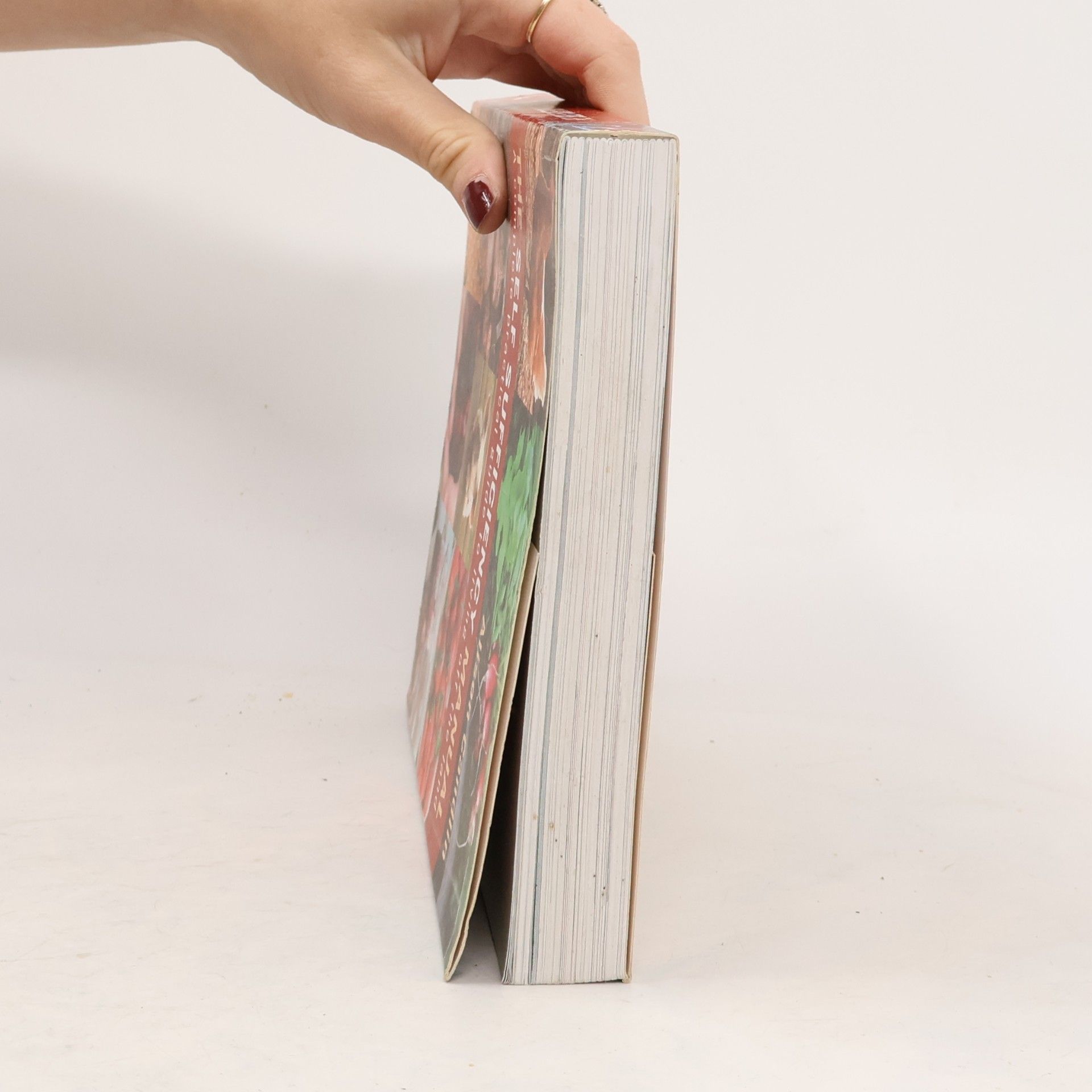 Alison Candlin Self Sufficiency Manual