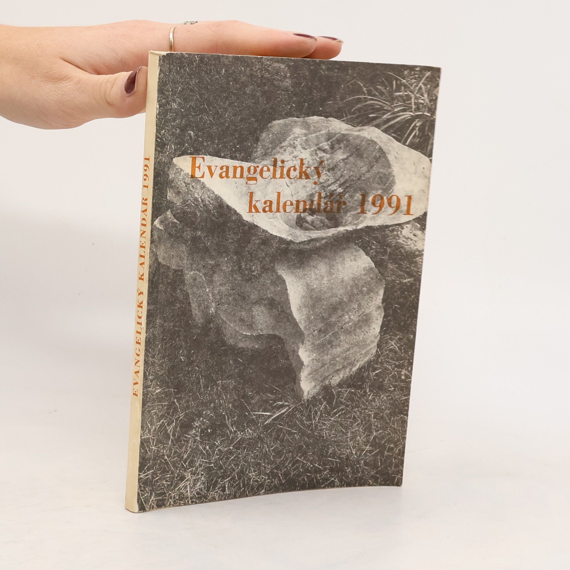 Autorenkollektiv Evangelický kalendář 1991