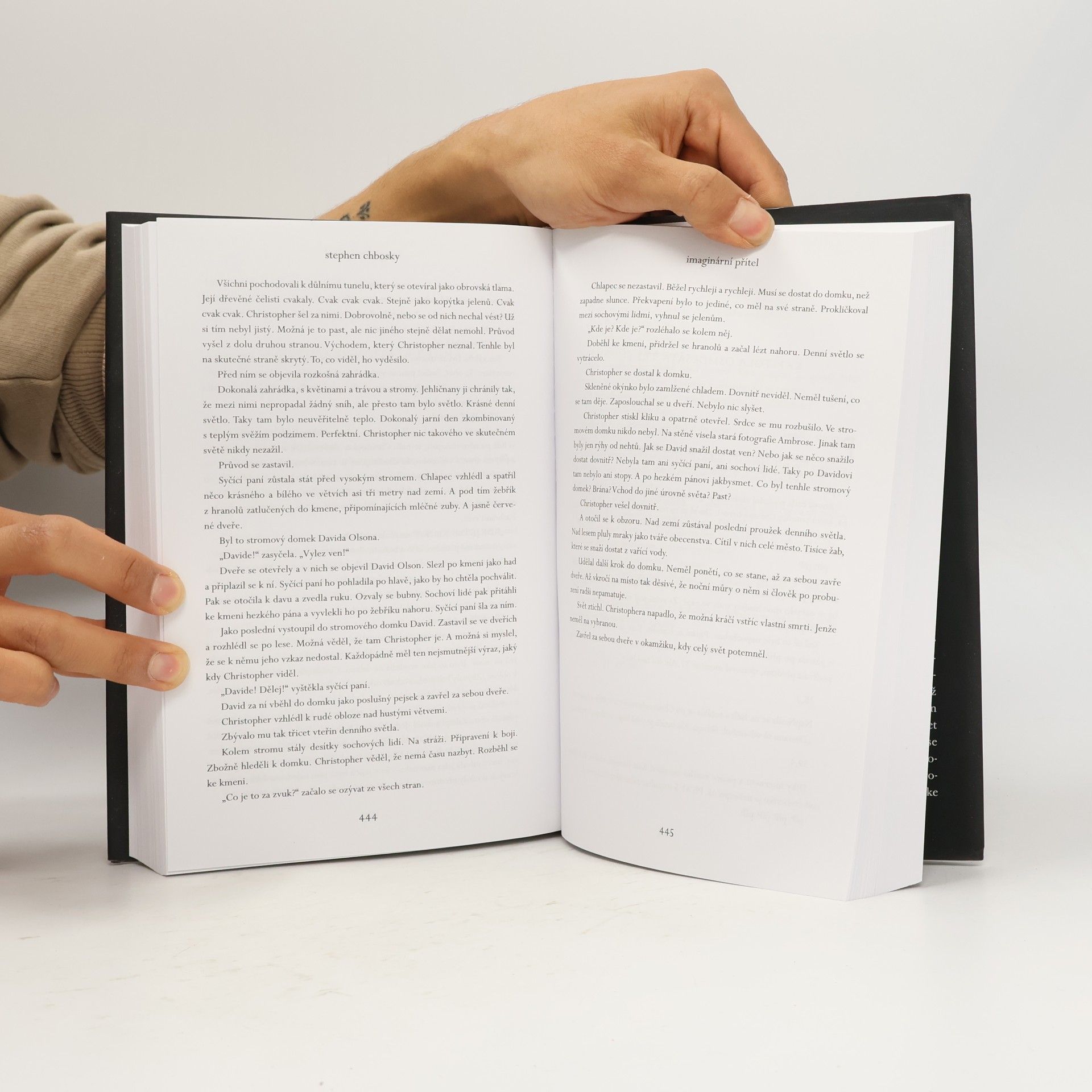 Stephen Chbosky Imaginární přítel