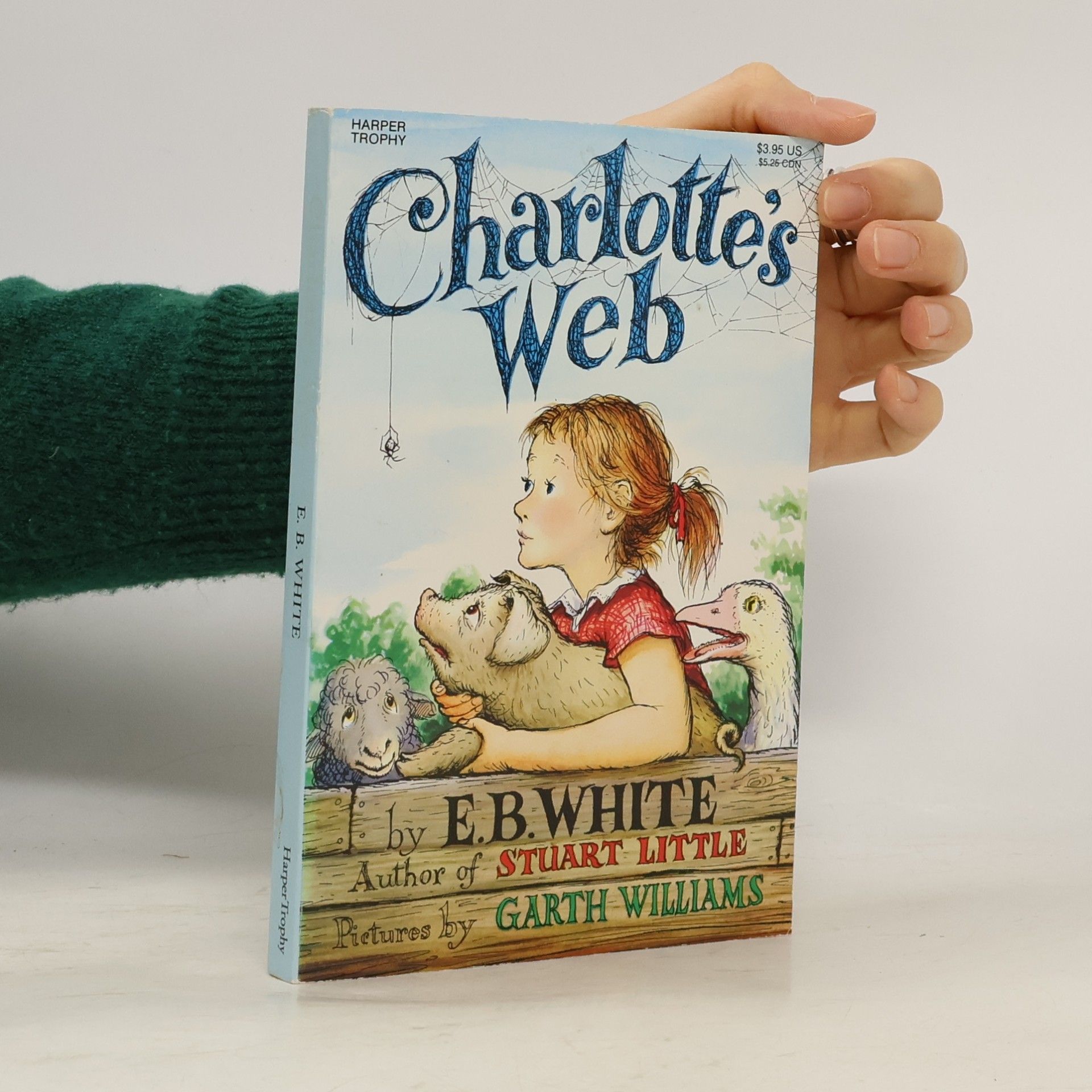 Charlotte's web