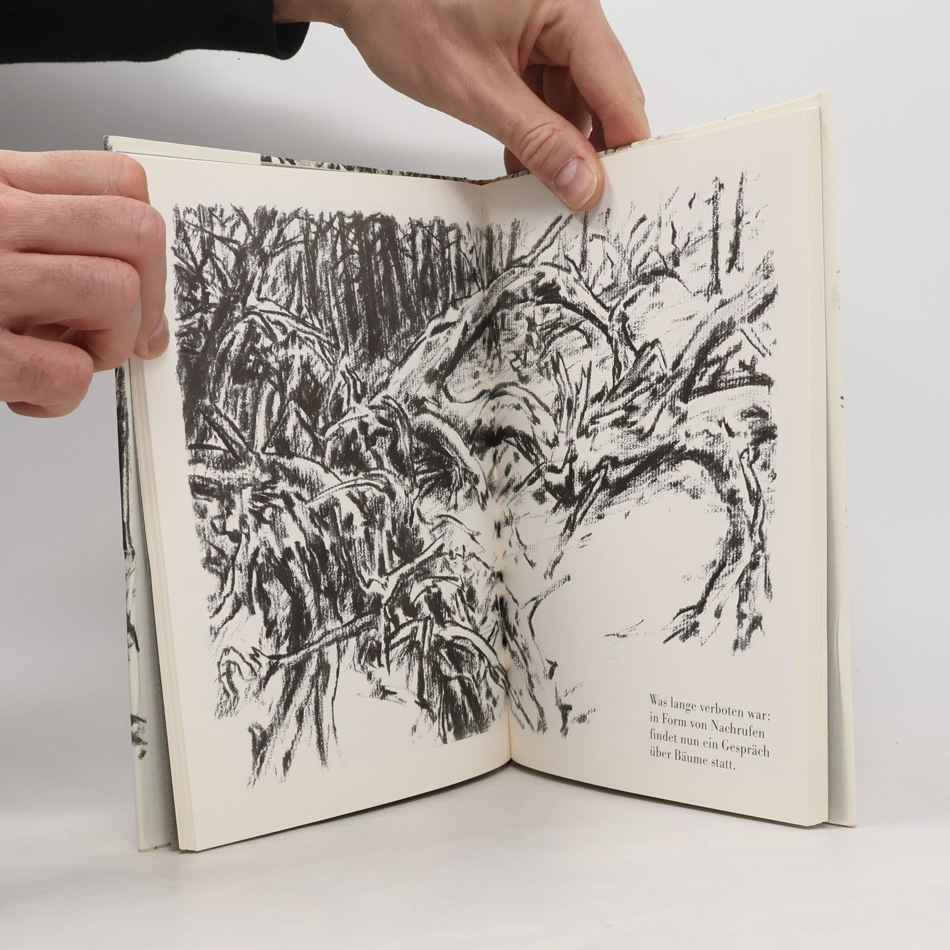 Günter Grass Totes Holz