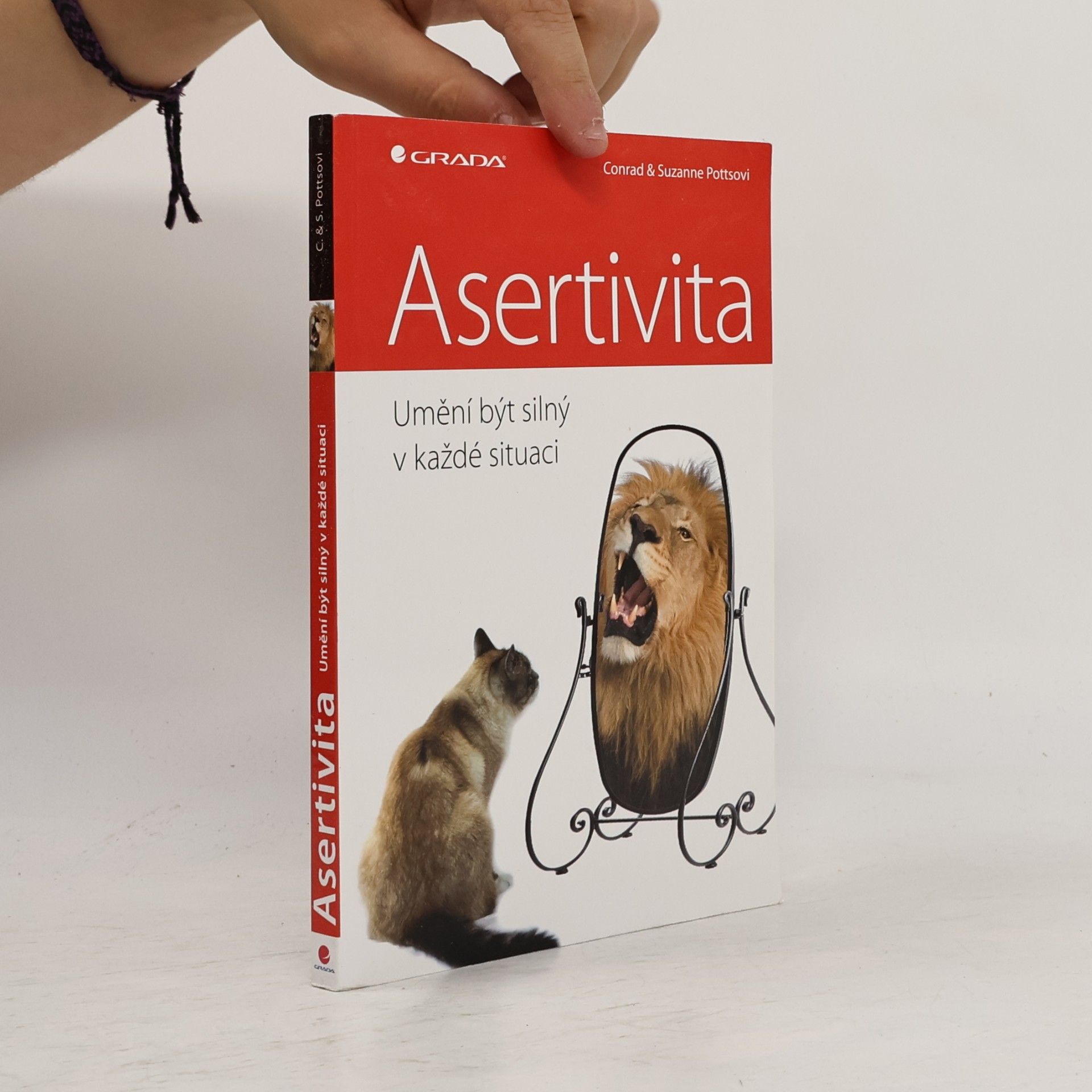 Asertivita: Umění být silný v každé situaci