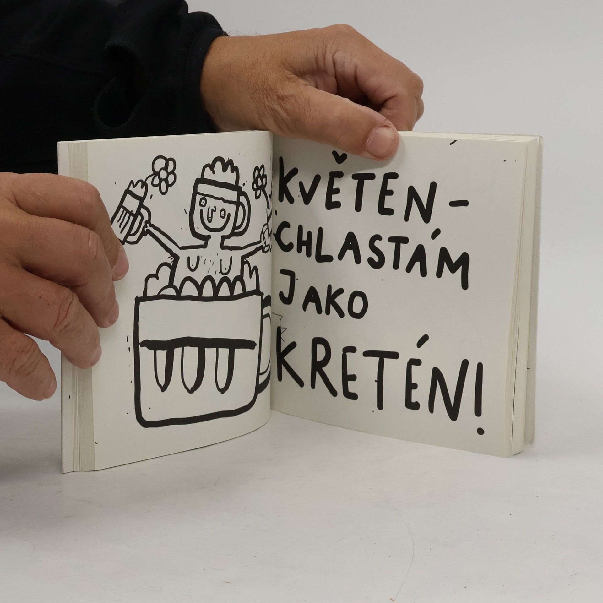 Jaromír Plachý Lidová tvořivost