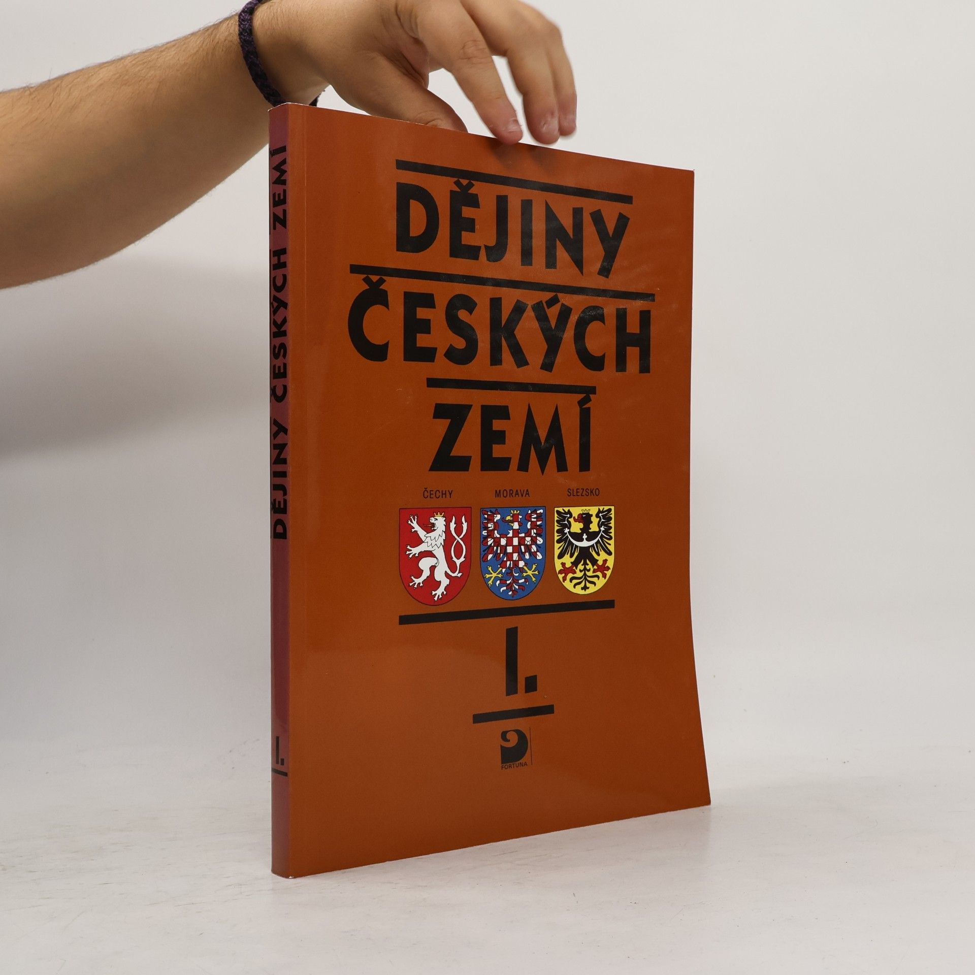 Dějiny českých zemí I.
