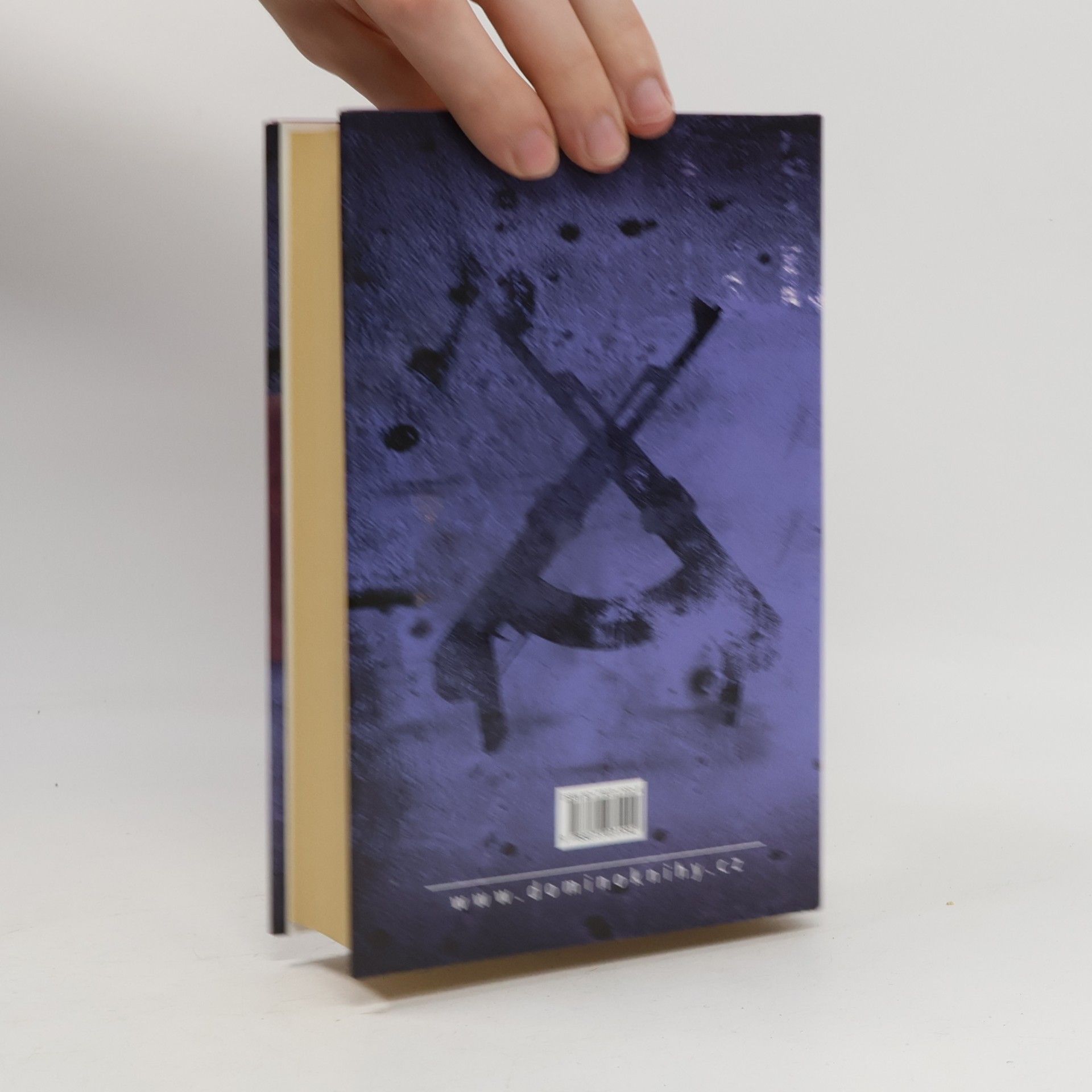 Robert Ludlum Matareseův kruh