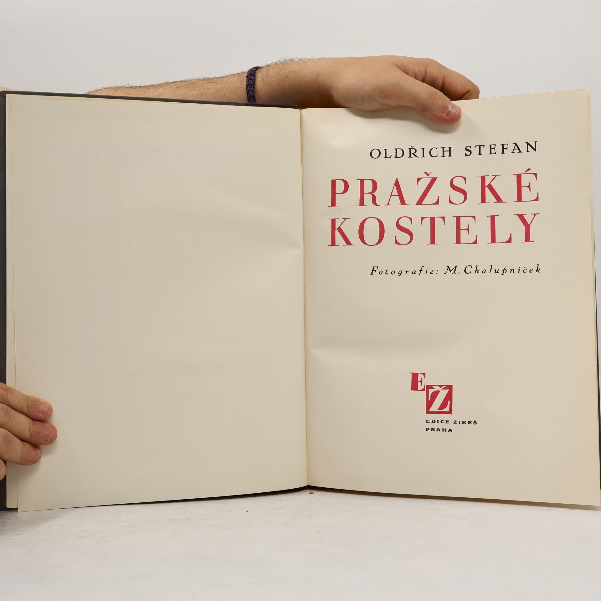 Oldřich Stefan Pražské kostely