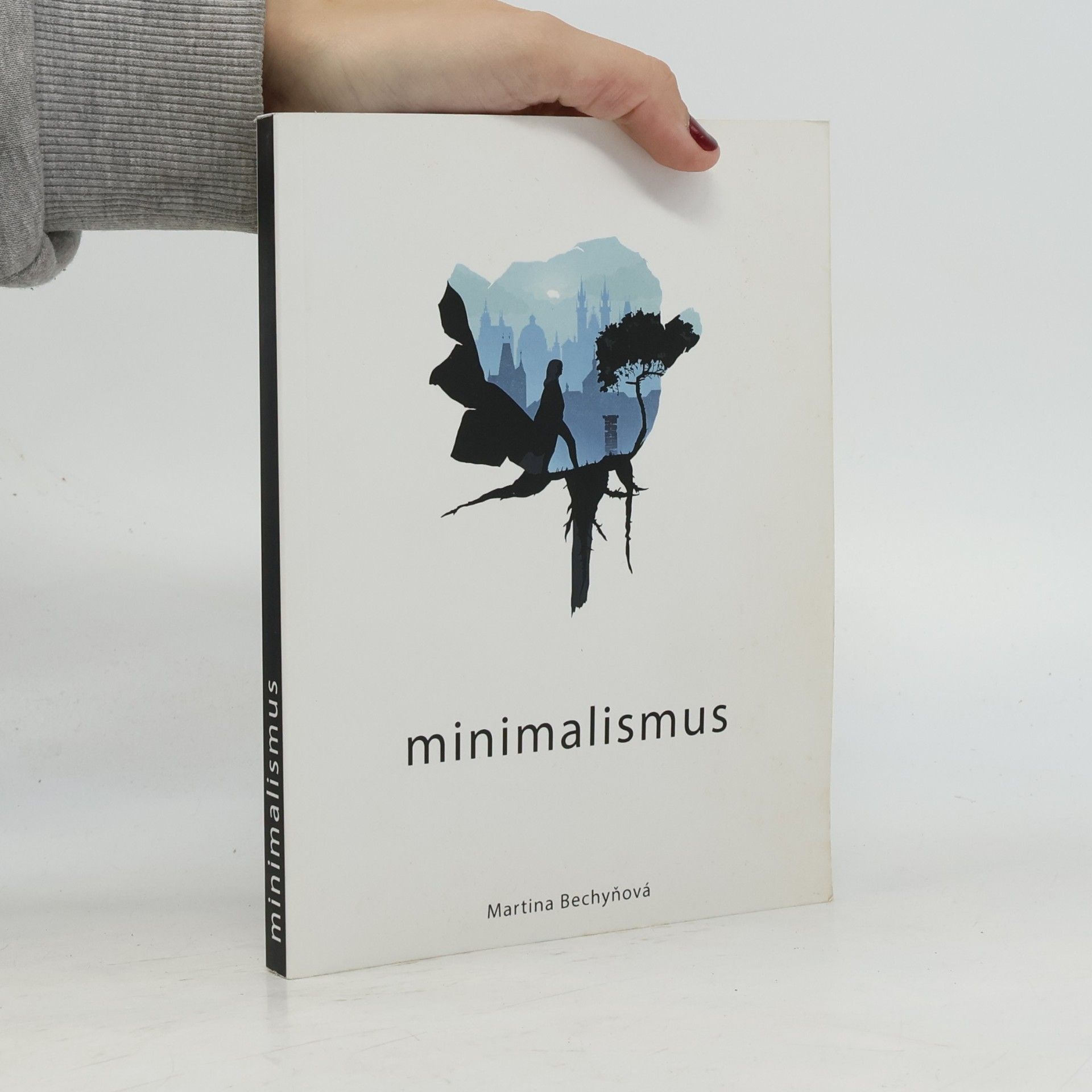 Martina Bechyňková Minimalismus