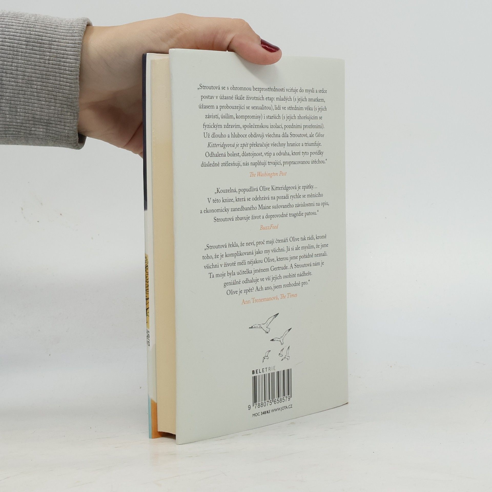 Elizabeth Strout Olive Kitteridgeová je zpět