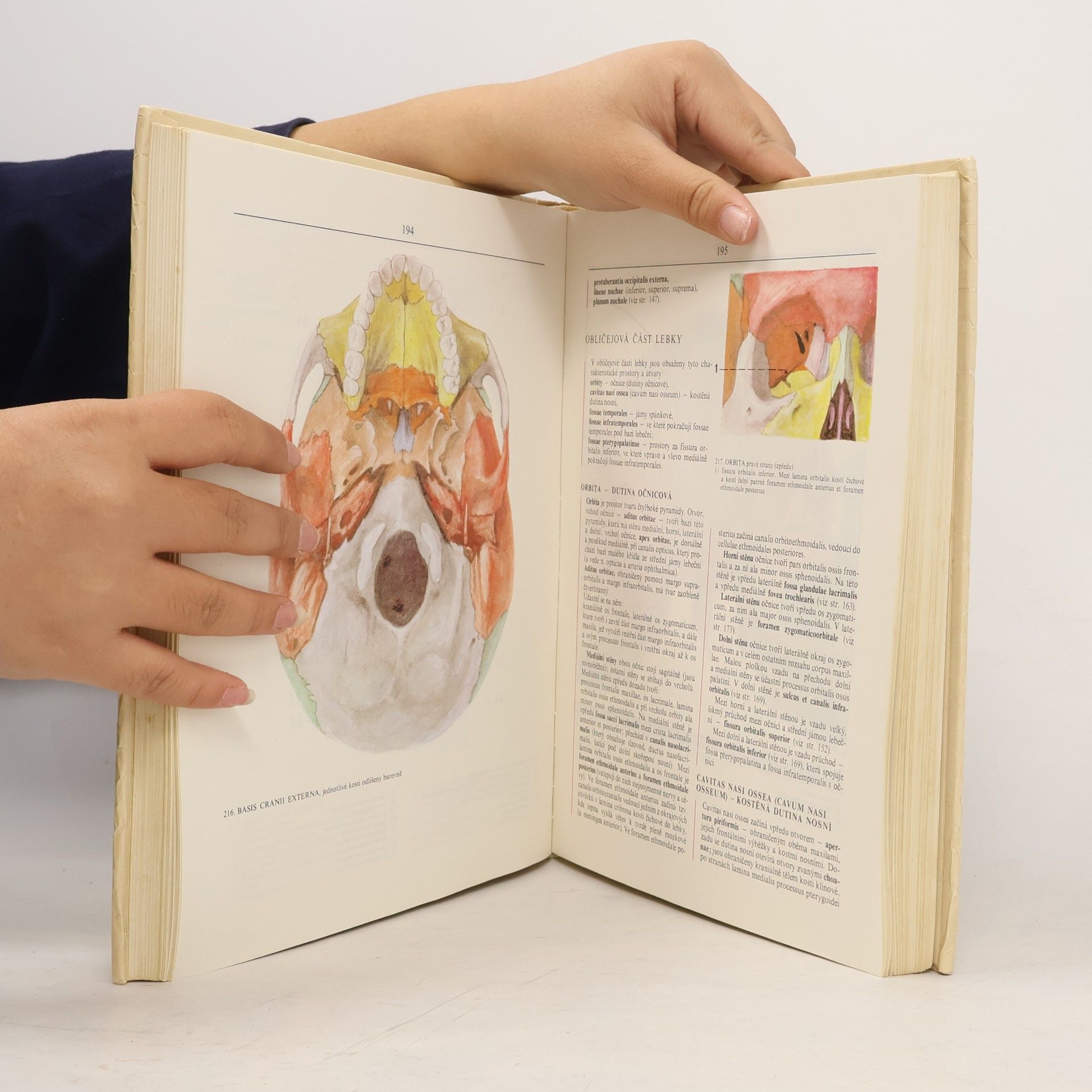 Radomír Čihák Anatomie 1