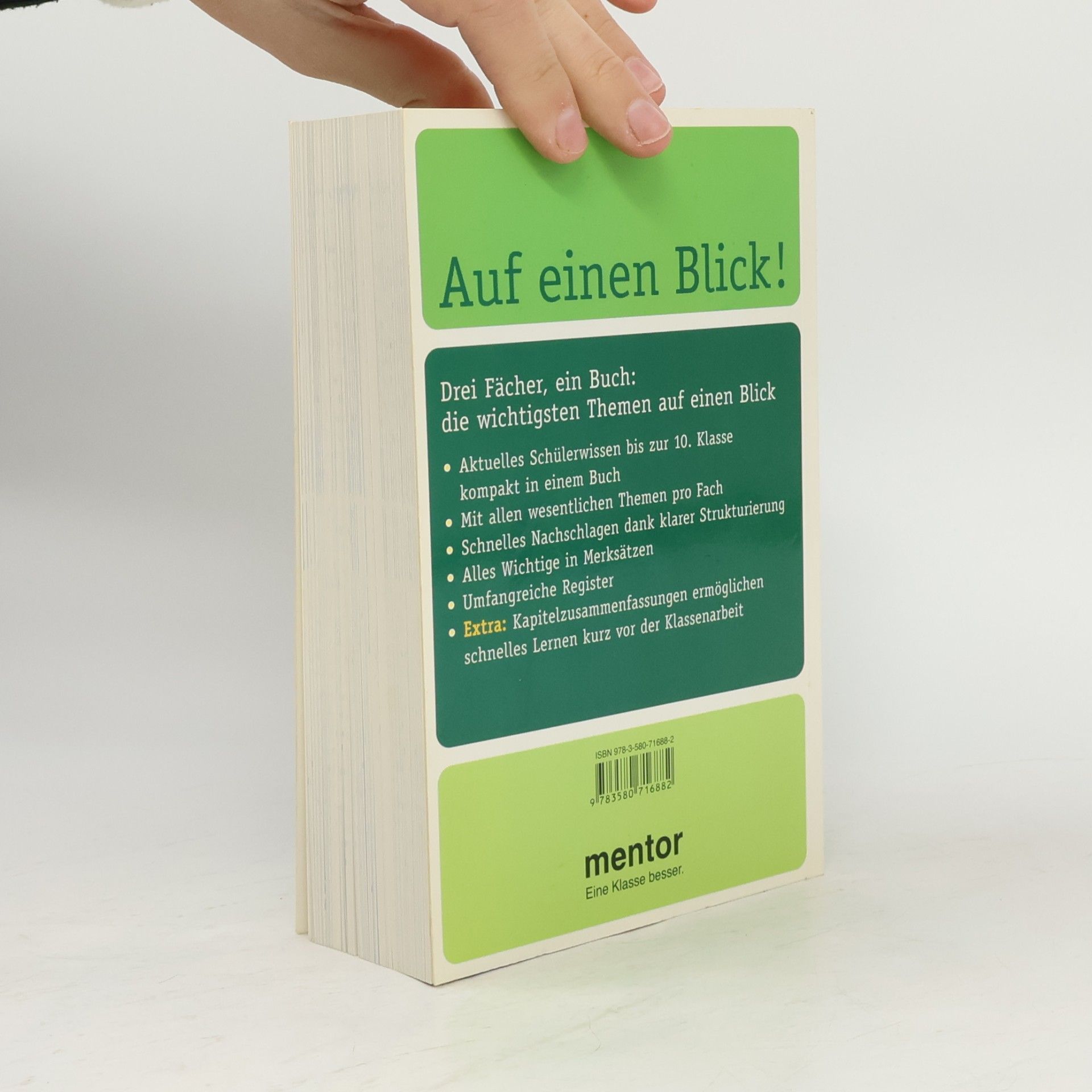 Alexander Geist Auf einen Blick! Deutsch, Englisch, Geschichte. Die wichtigsten Themen bis zur 10. Klasse