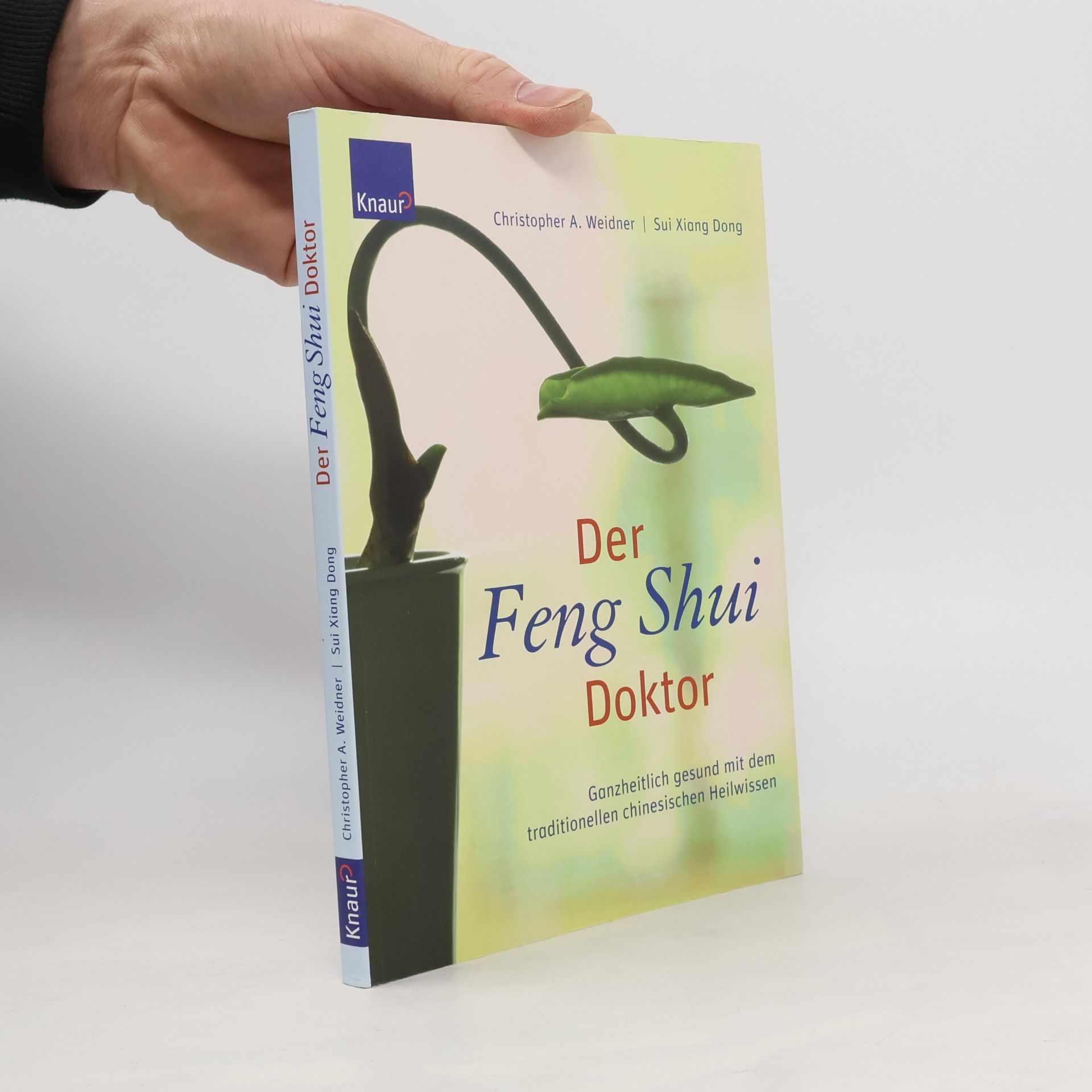 Der Feng-Shui-Doktor
