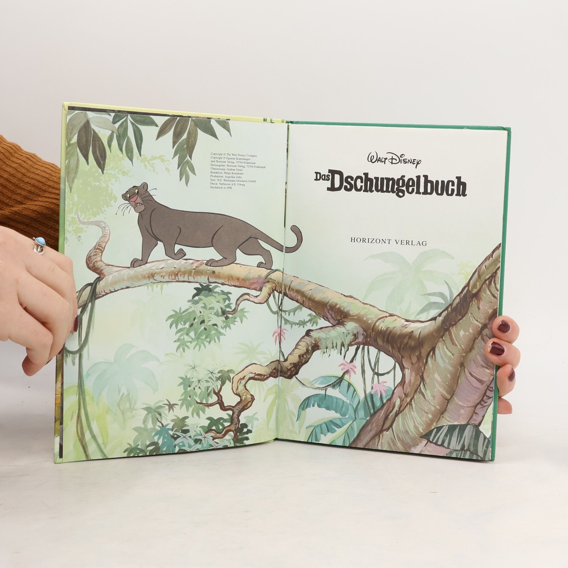 Gudrun Smed-Puknatis Das Dschungelbuch