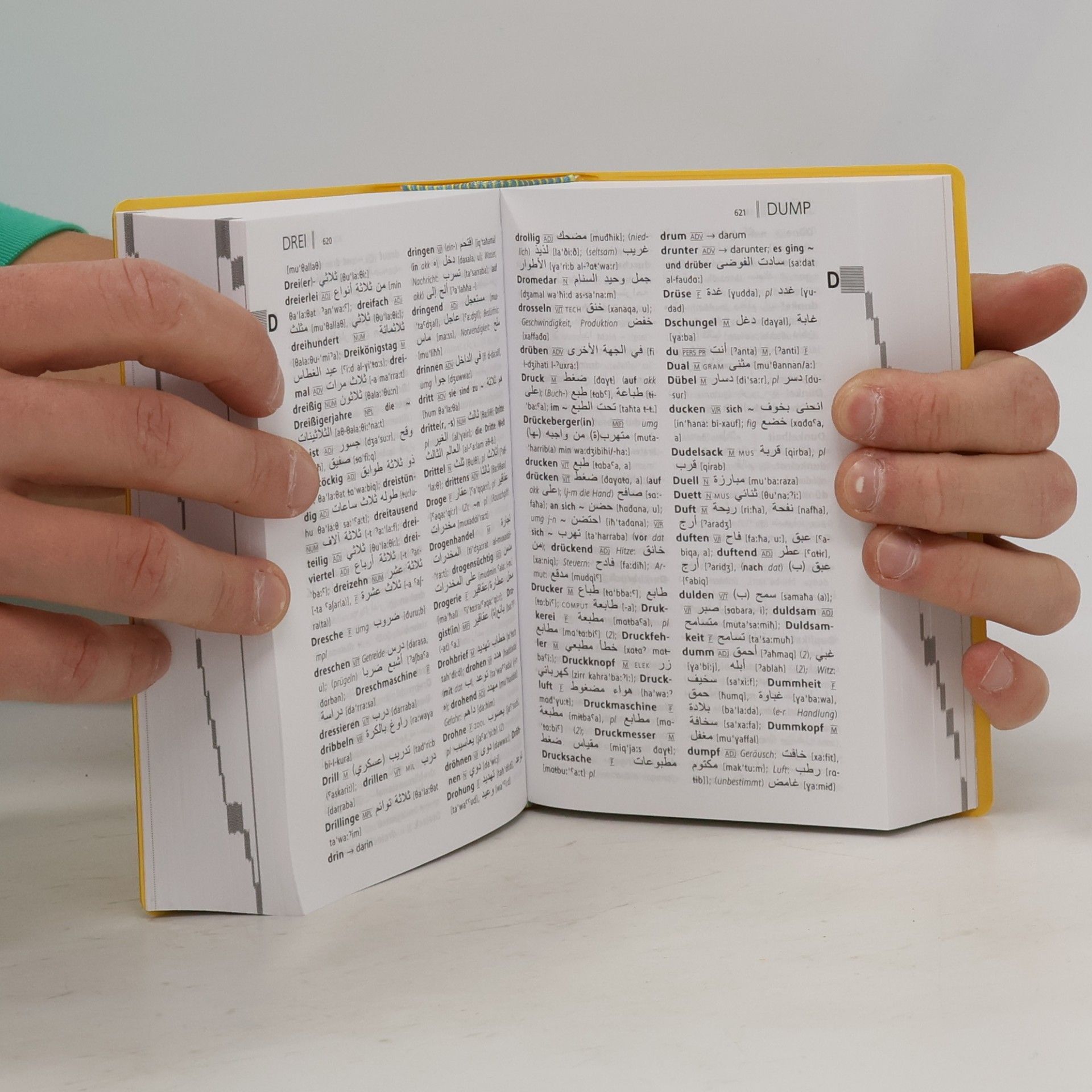 Lorenz Kropfitsch Langenscheidt Taschenwörterbücher: Langenscheidt Taschenwörterbuch Arabisch