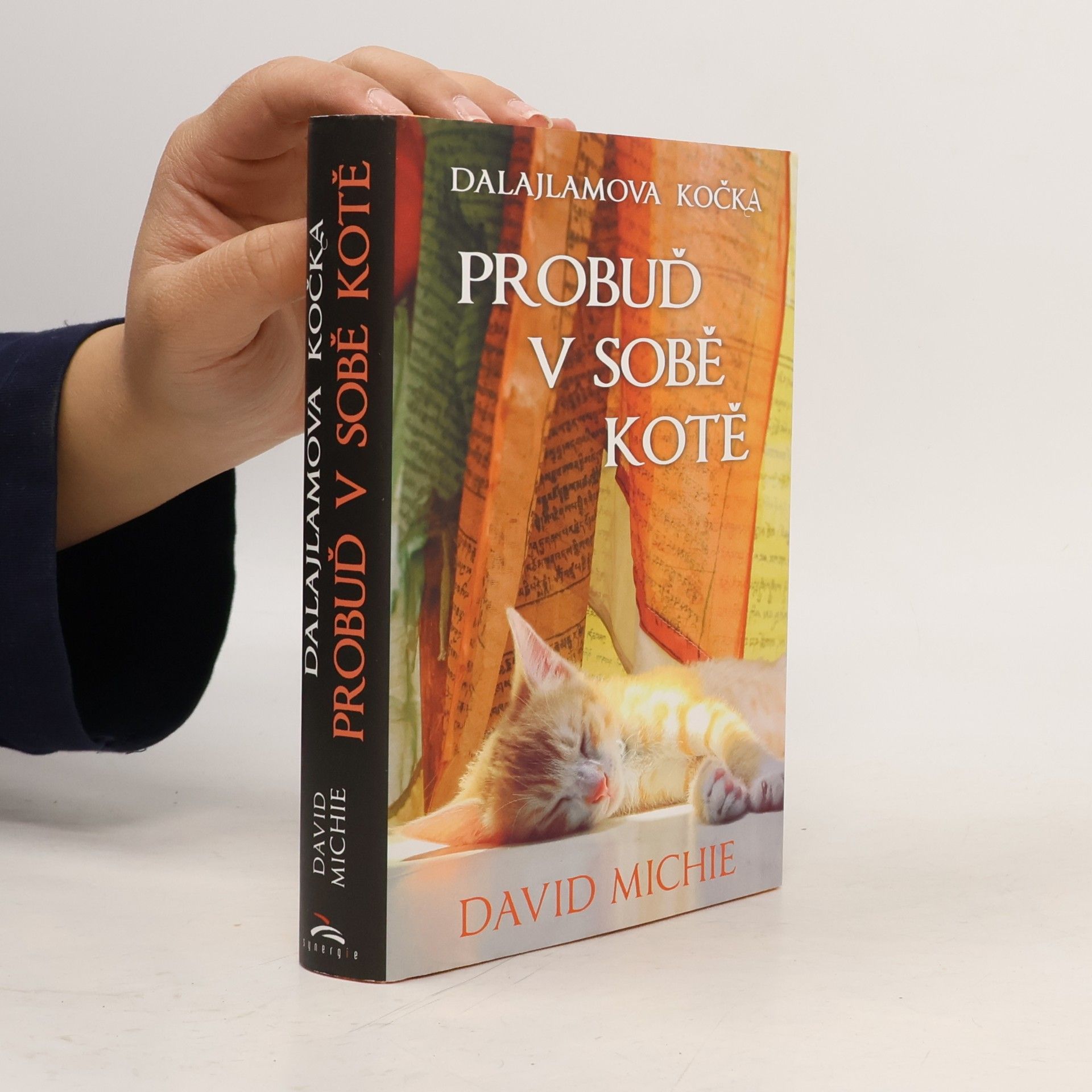 Dalajlamova kočka - probuď v sobě kotě