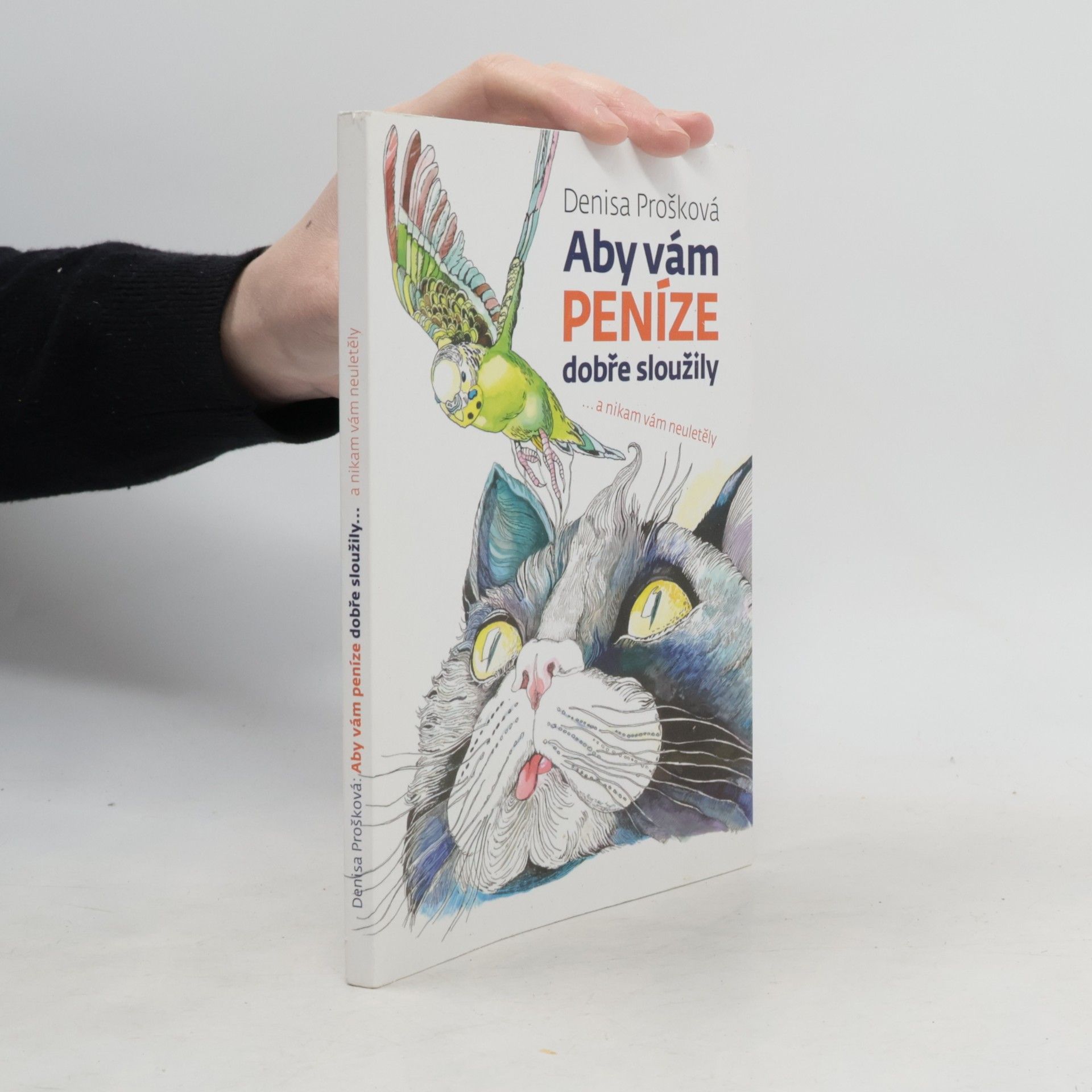 Aby vám peníze dobře sloužily a nikam neuletěly