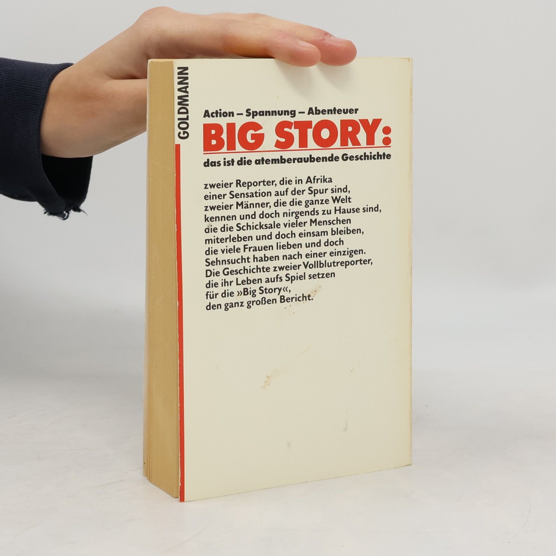 Franz Josef Wagner Big Story. Roman.