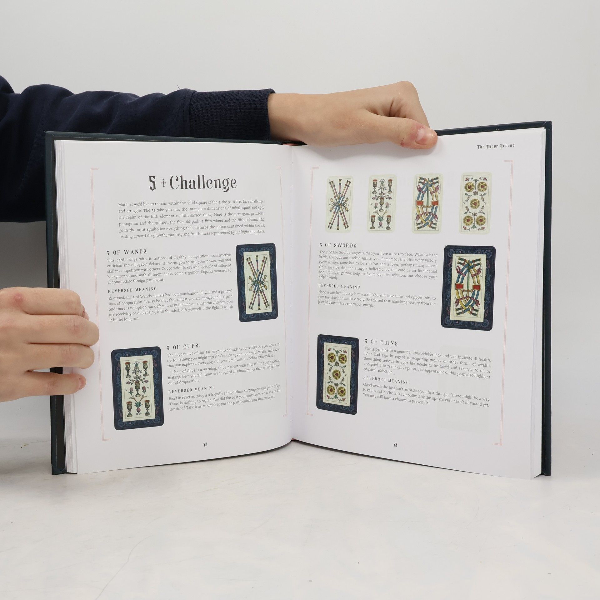 Lady Lorelei The Tarot Life Planner