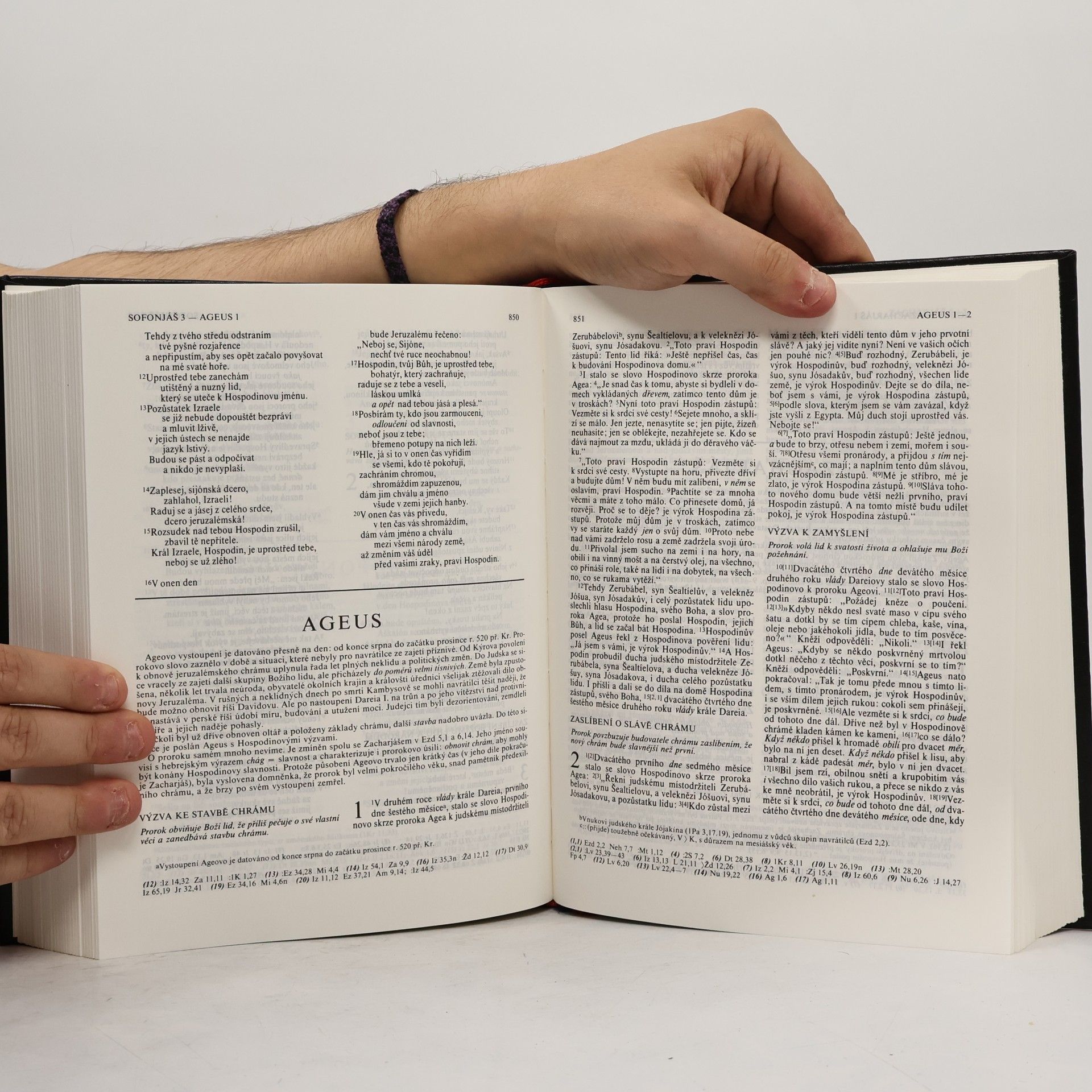 Bohumil Vančura Bible: Písmo svaté Starého a Nového zákona (včetně deuterokanonických knih) : český ekumenický překlad