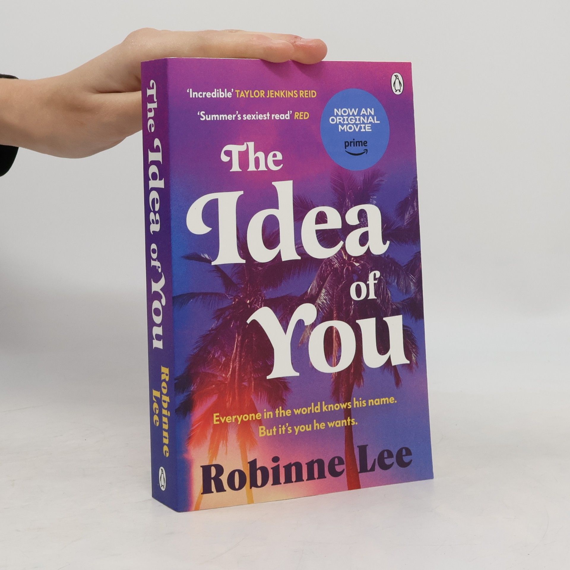 The Idea of You