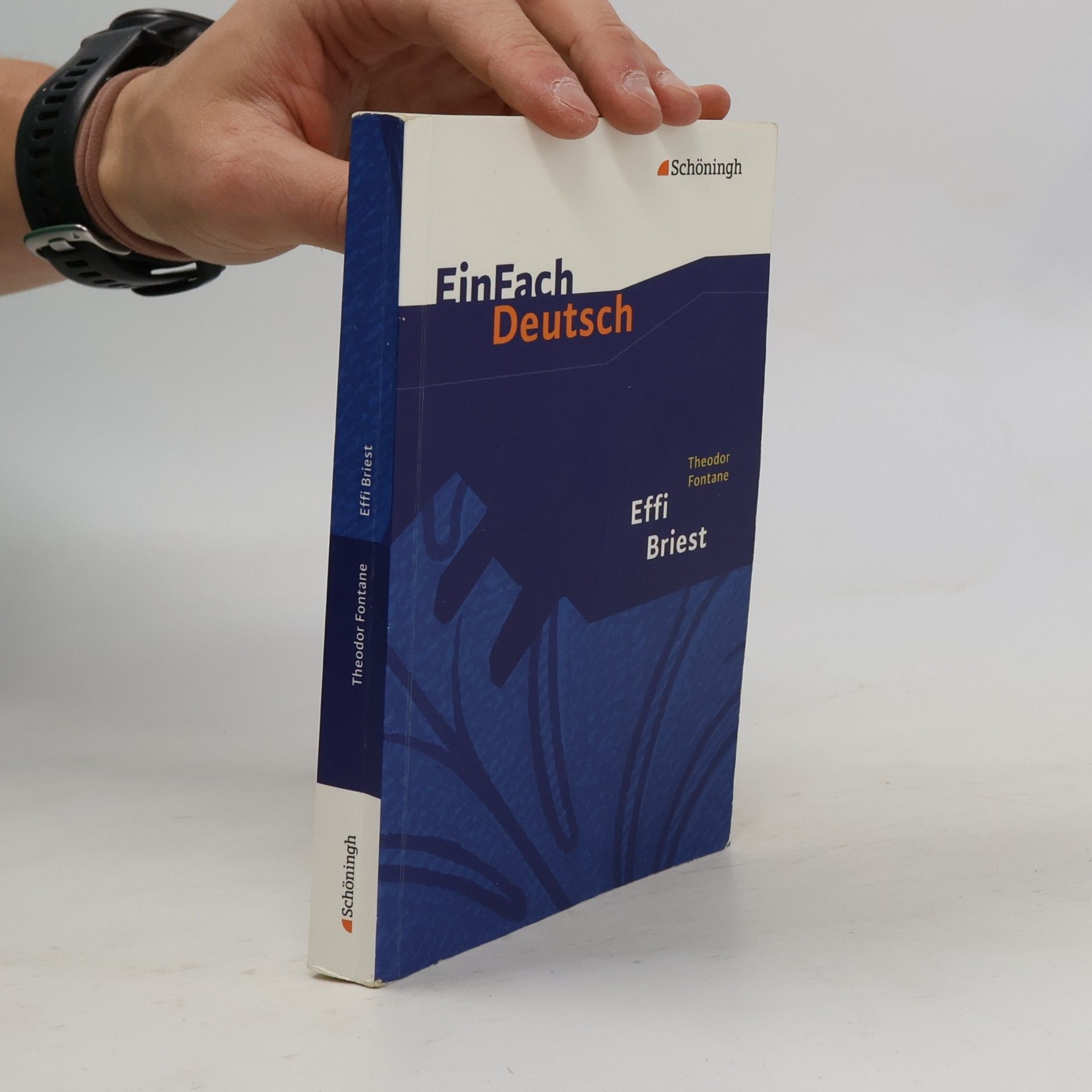 EinFach Deutsch: Theodor Fontane: Effi Briest