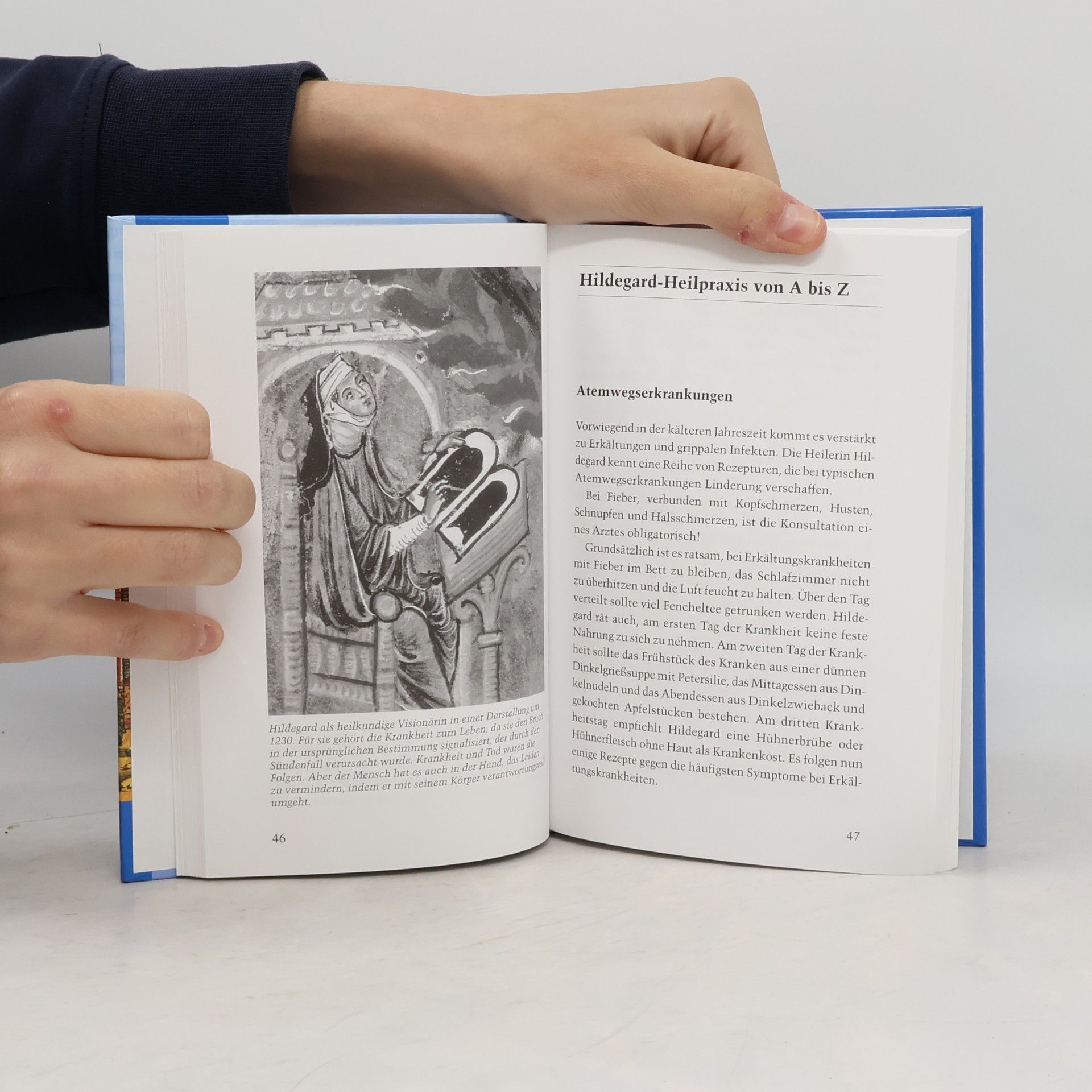 Christiane Schmid Hildegard von Bingen, das Gesundheitsbuch