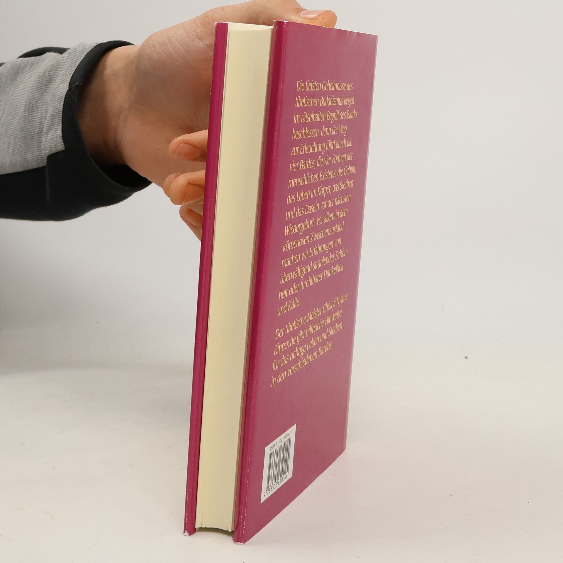 Rinpoche Chos-kyi-ñi-ma Das Bardo-Buch