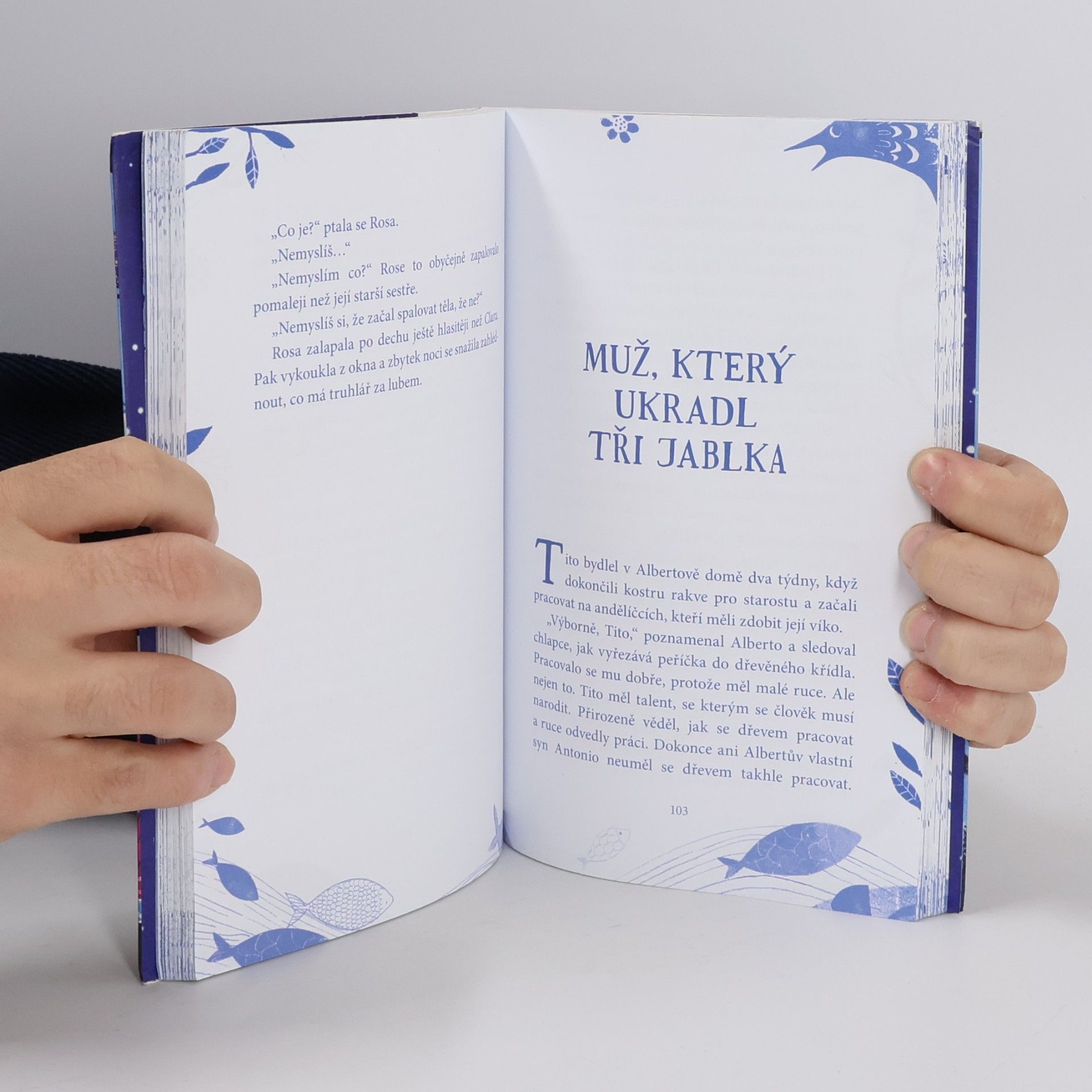 Matilda Woods Chlapec, pták a truhlář