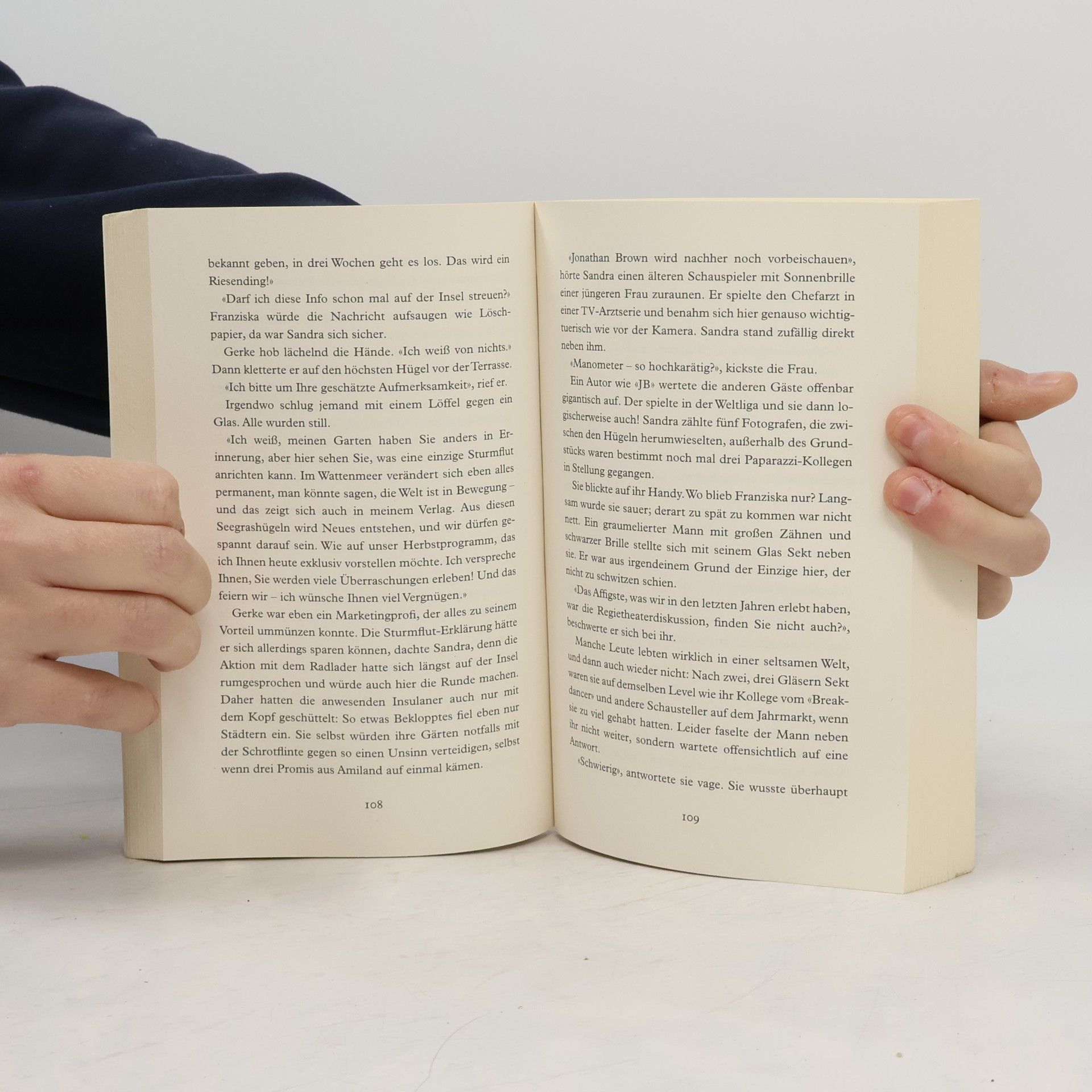 Janne Mommsen Die Bücherinsel