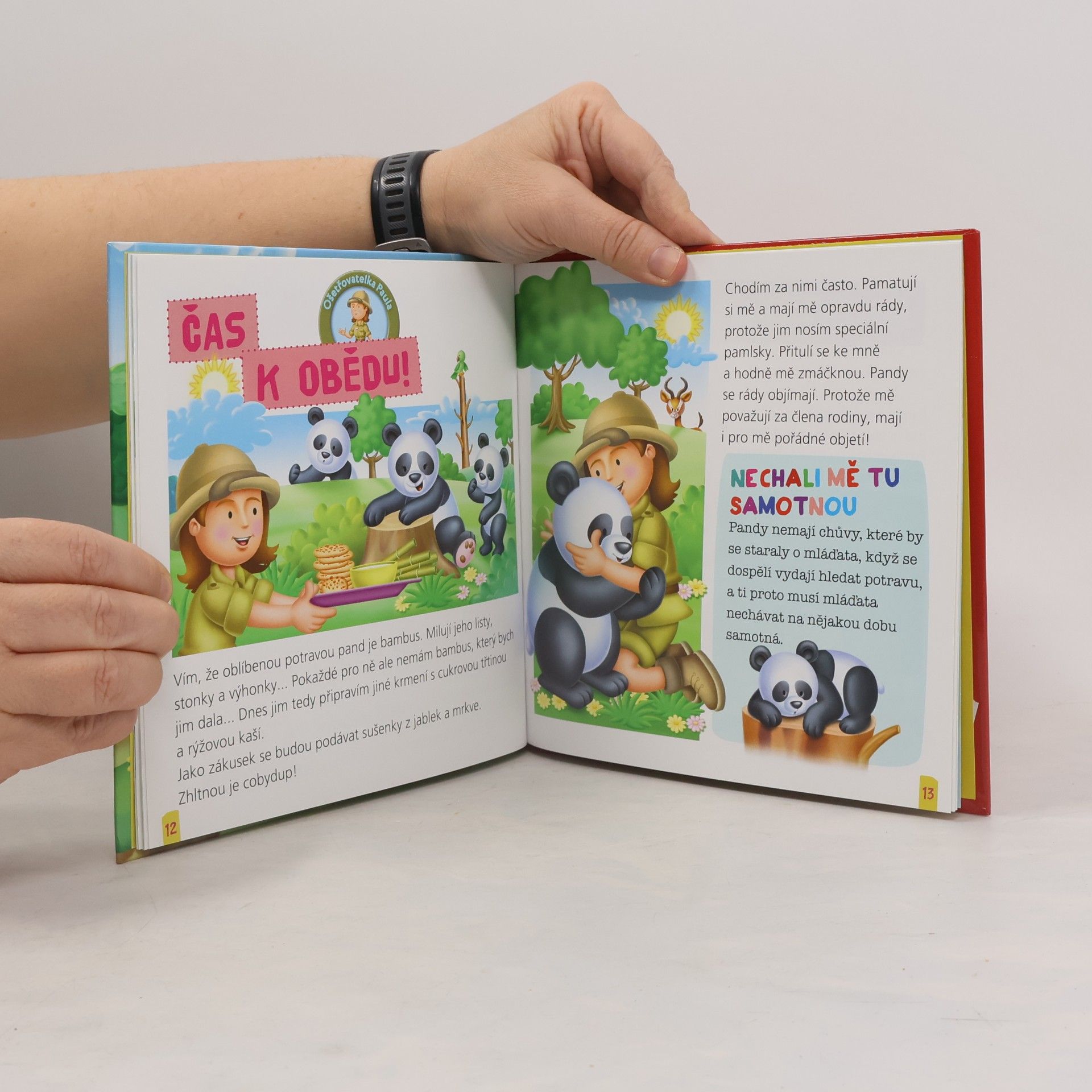 Autorenkollektiv Panda Baihei