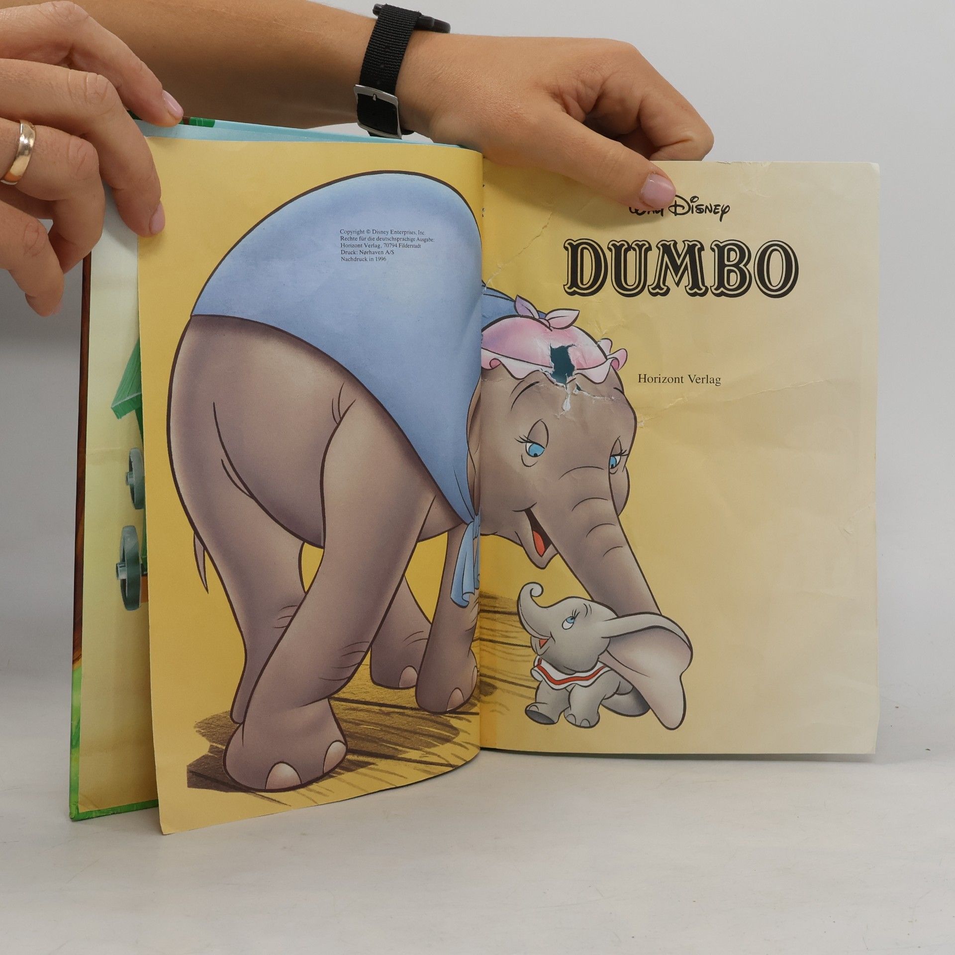 Autorenkollektiv Dumbo