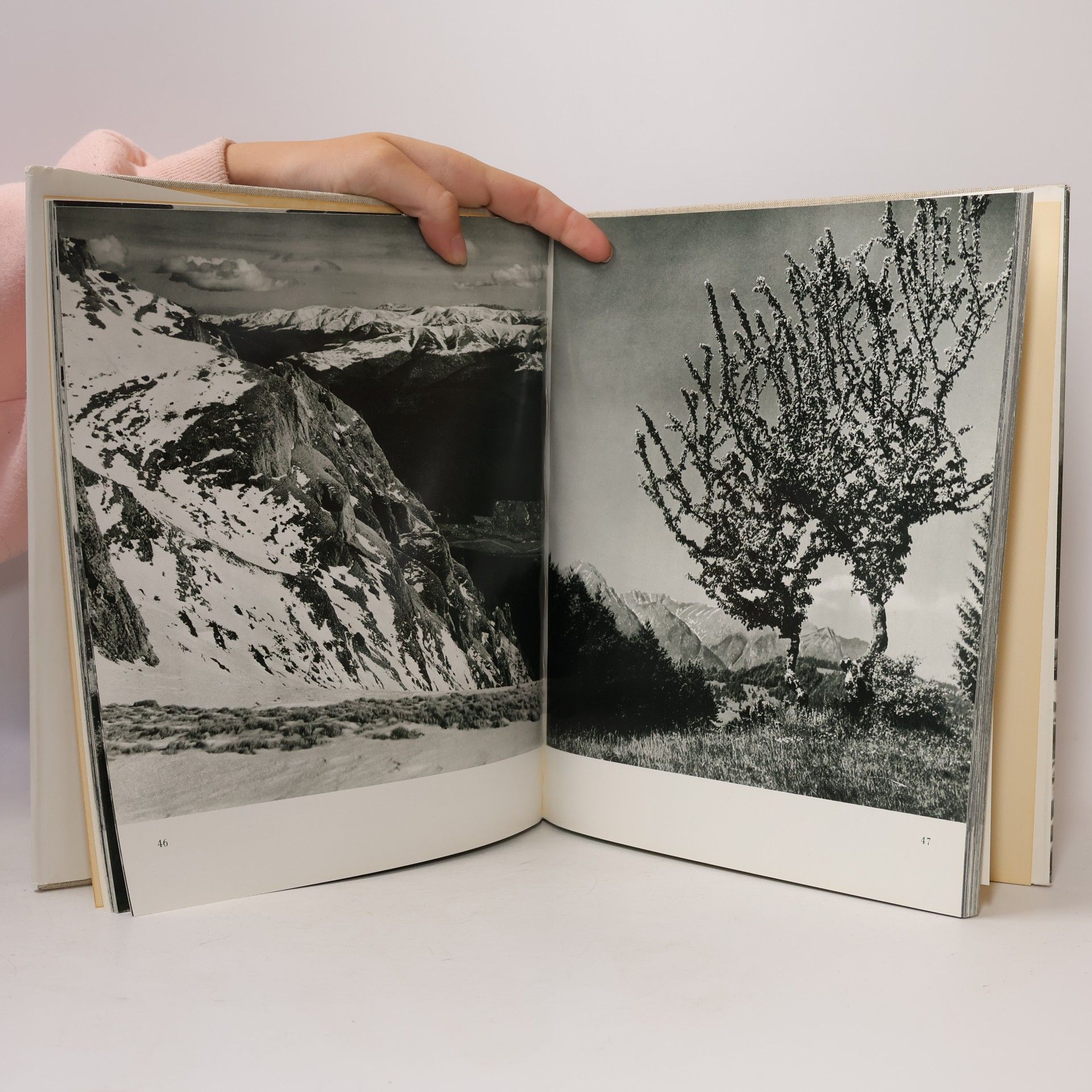 Various authors Die Karpaten