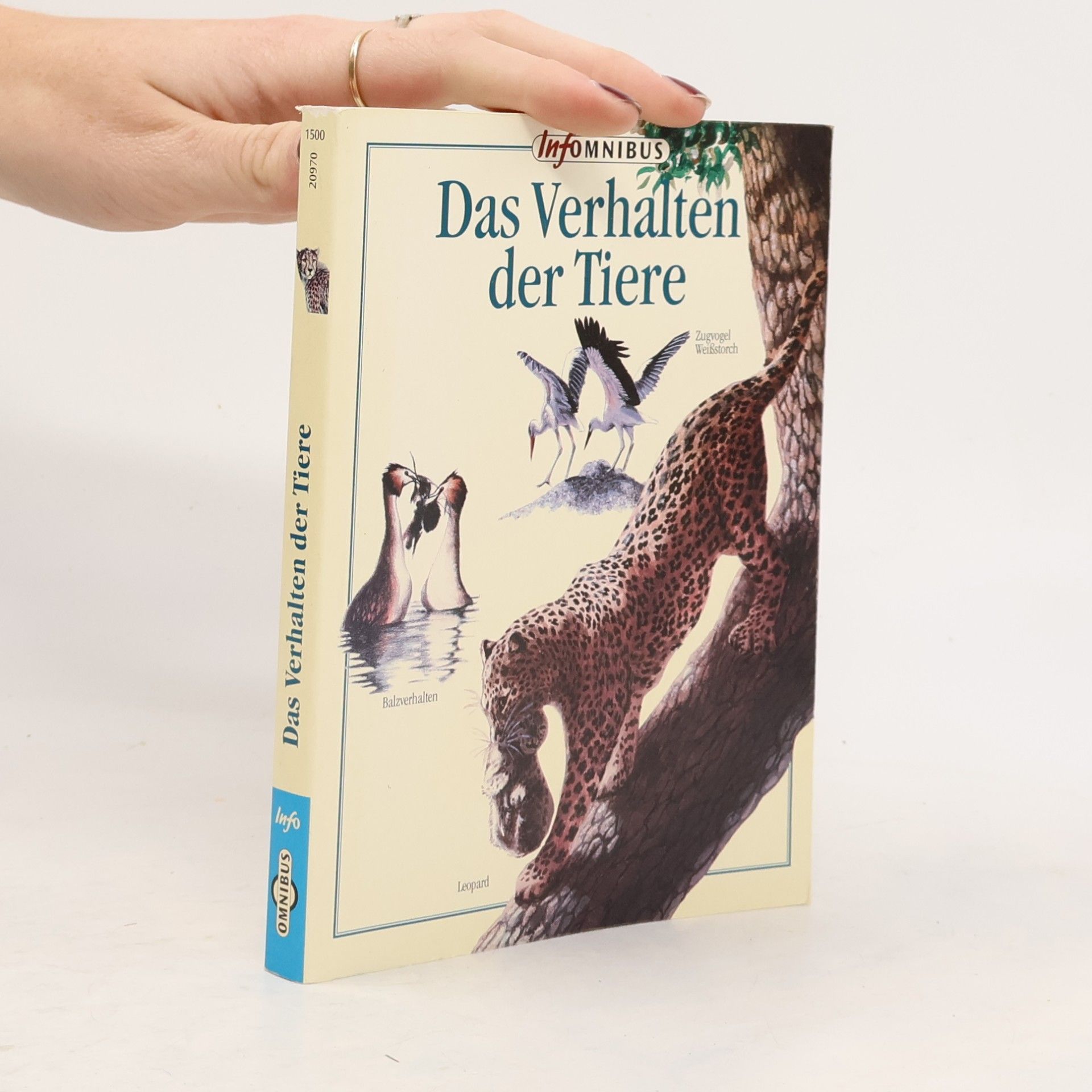 Gian Paolo Faleschini Das Verhalten der Tiere