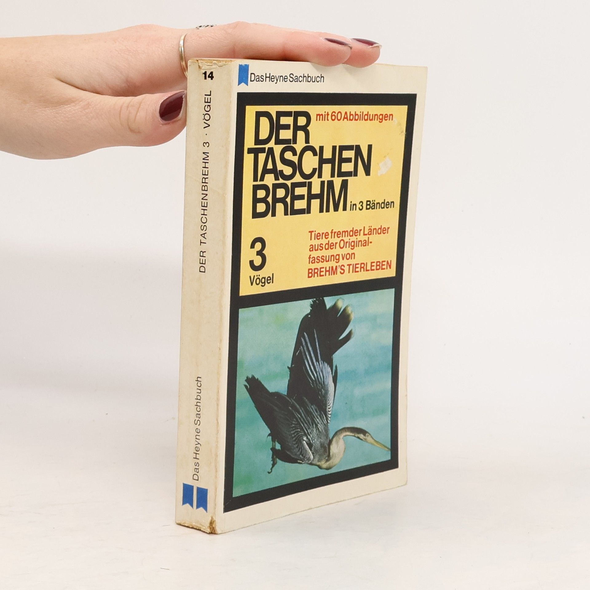 Kolektiv autorů Der Taschenbrehm 3. Vögel