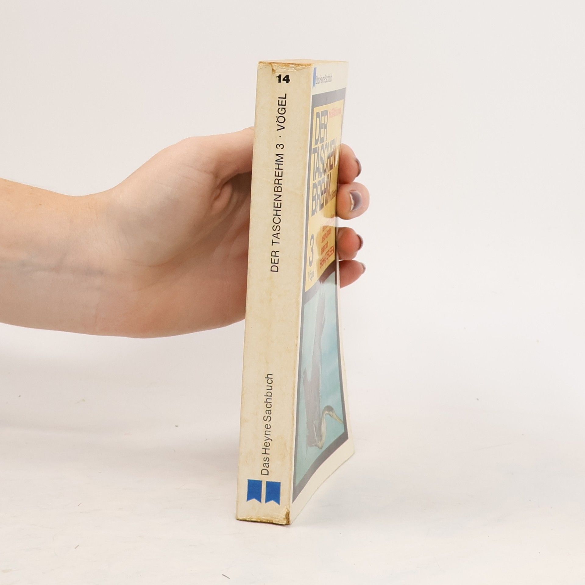 Kolektiv autorů Der Taschenbrehm 3. Vögel
