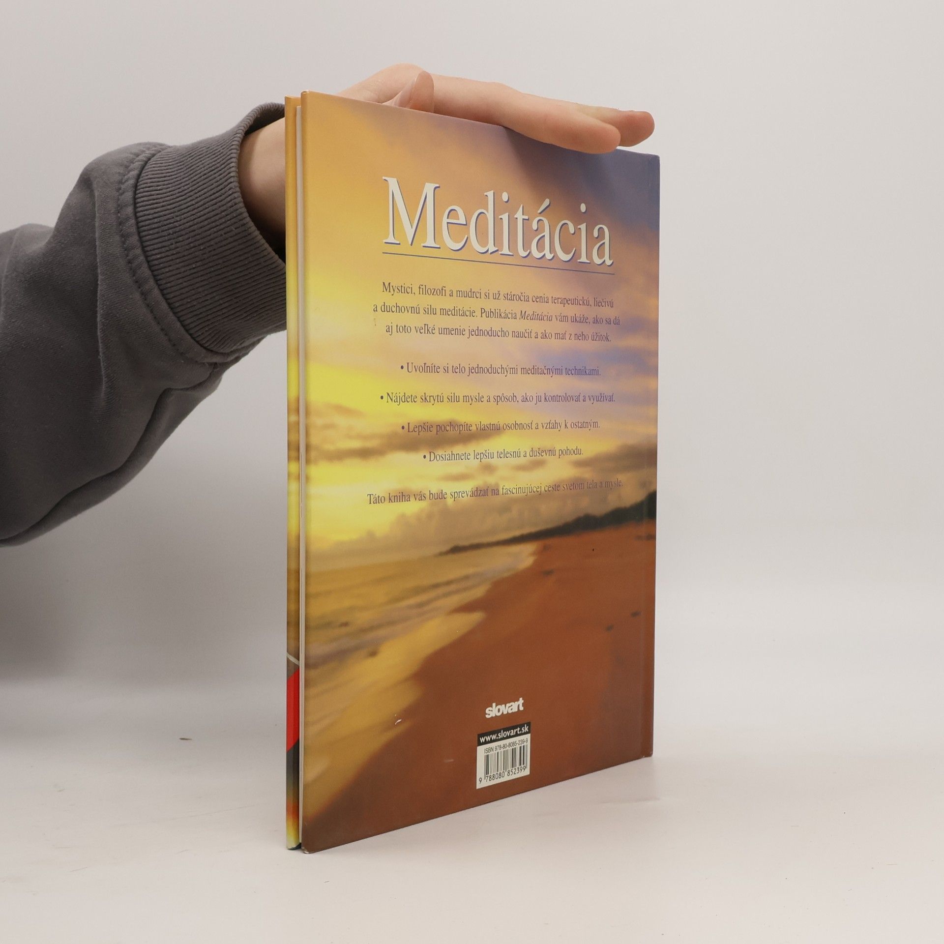 Lorraine Turner Meditácia - Ako objaviť cestu k vnútornej harmónii