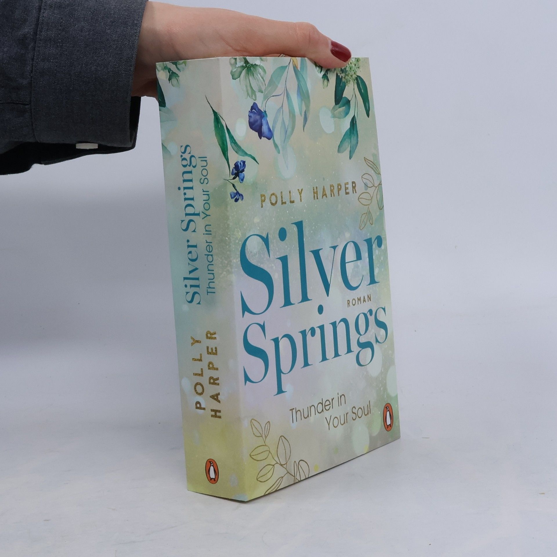 Silver Springs. Thunder in Your Soul
