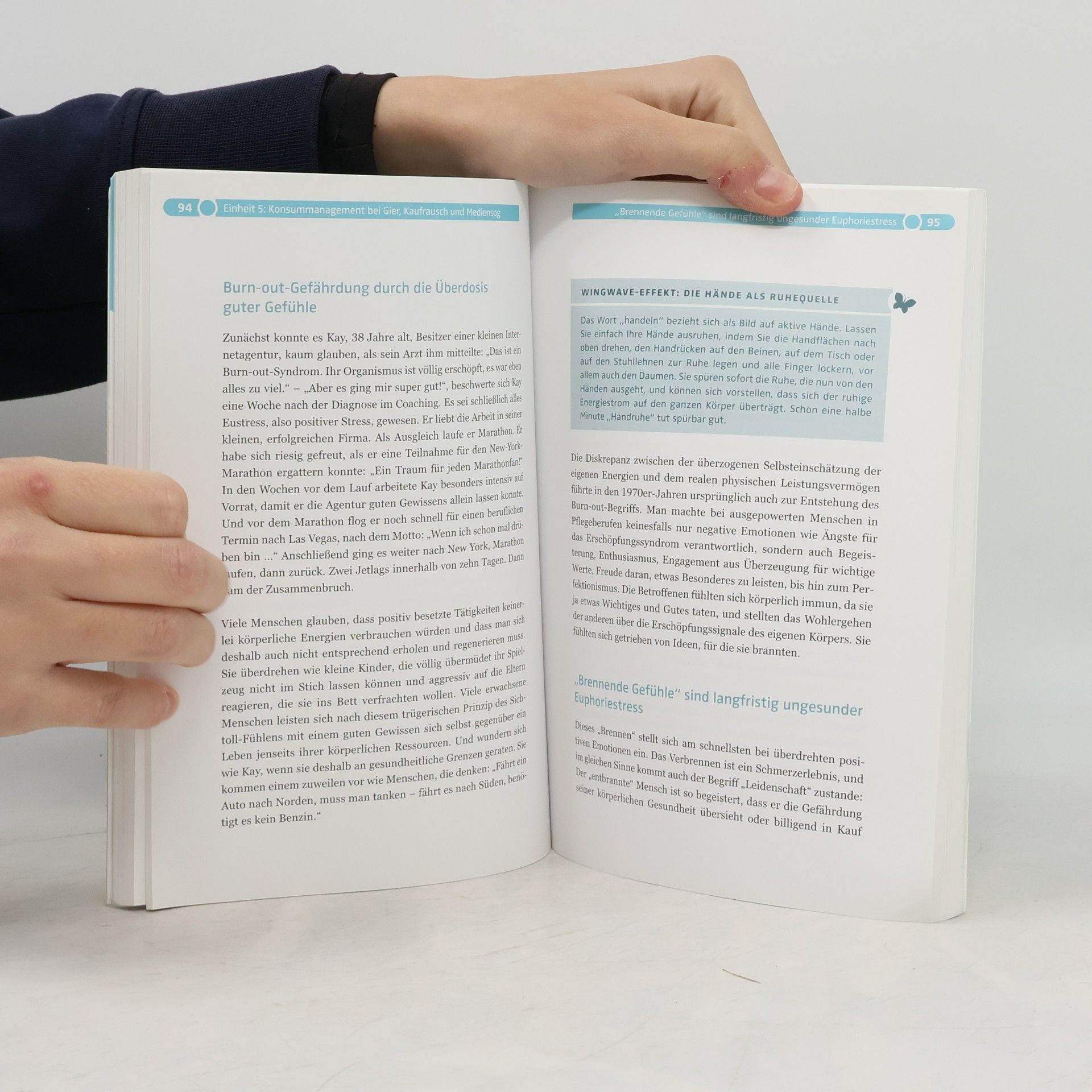 Cora Besser-Siegmund Work-Health Balance