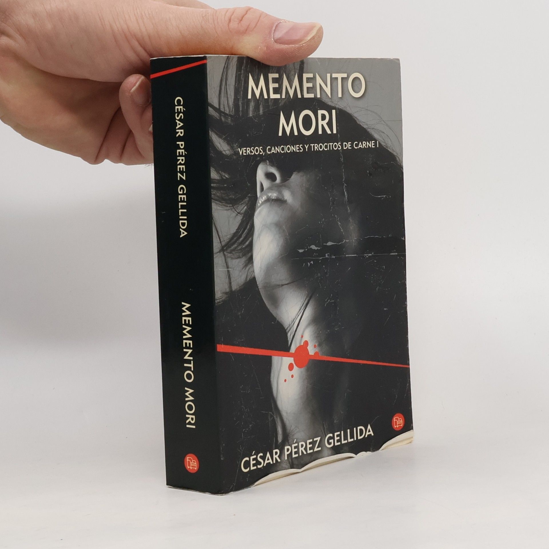 Cesar Perez Gellida Memento mori