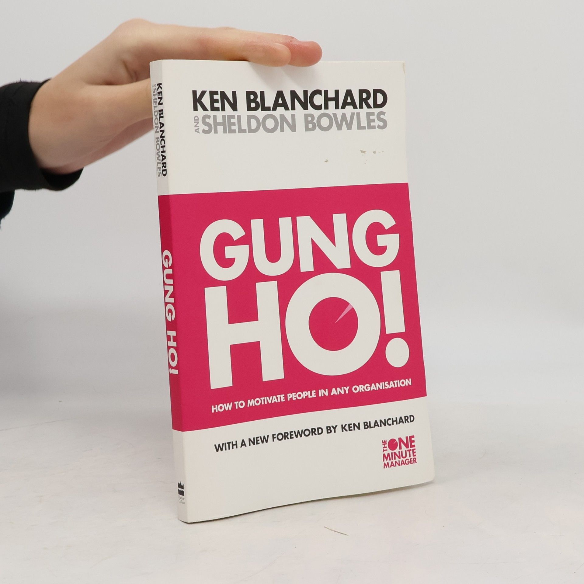 Gung Ho!: How to Motivate People In Any Organization