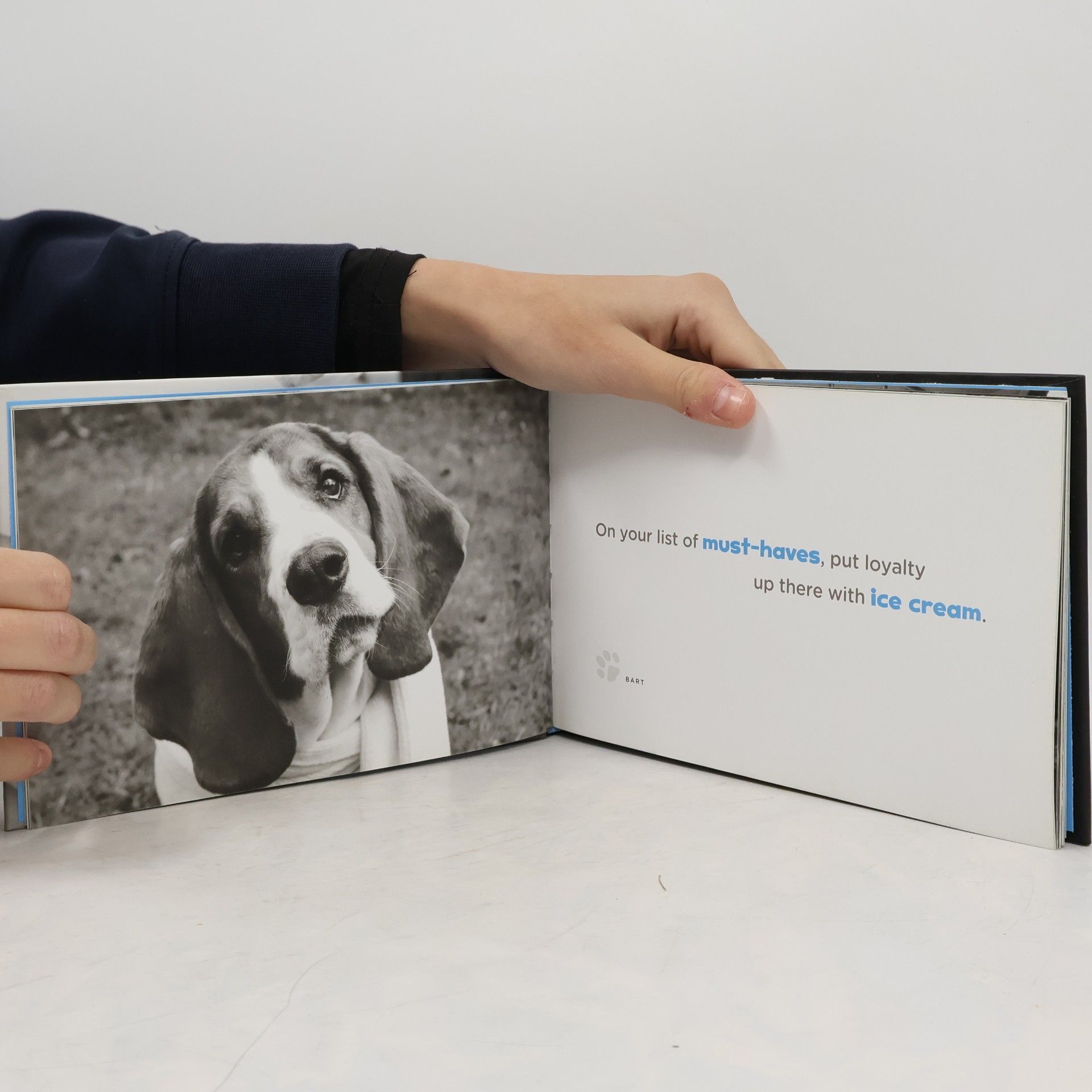 Kim Levin Dogplay
