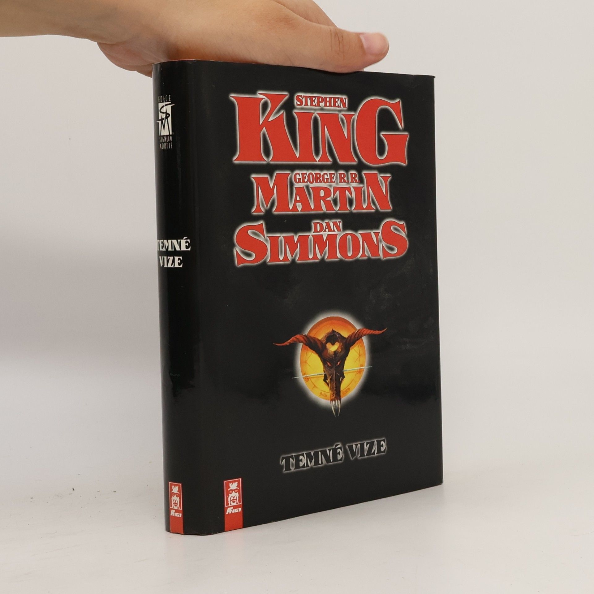 Stephen King Temné vize